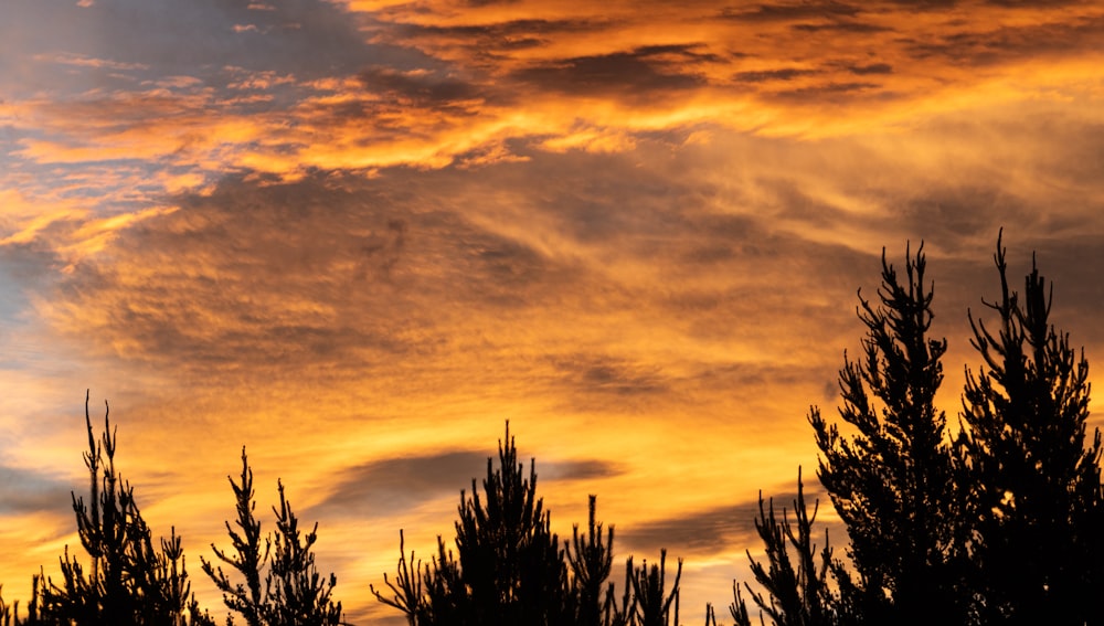 a plane is flying in the sky over some trees