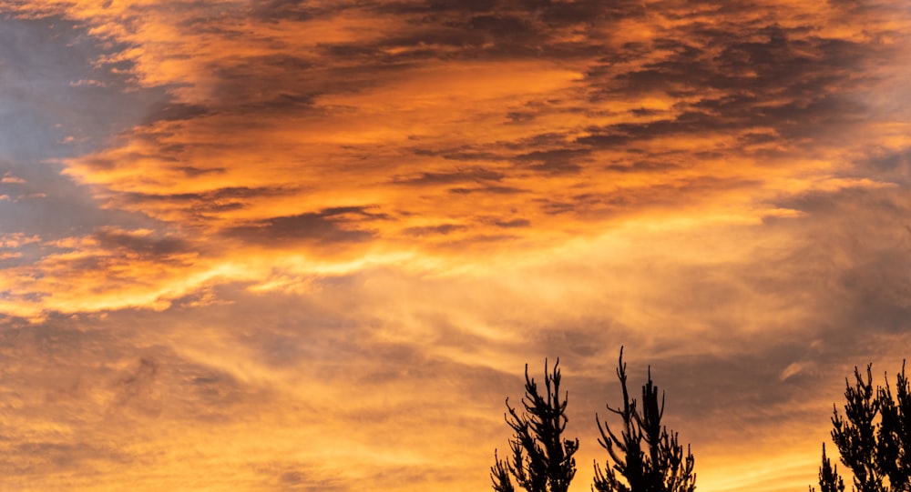 Un avión vuela en el cielo al atardecer