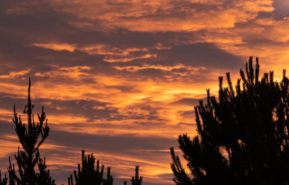 El sol se está poniendo detrás de las nubes en el cielo