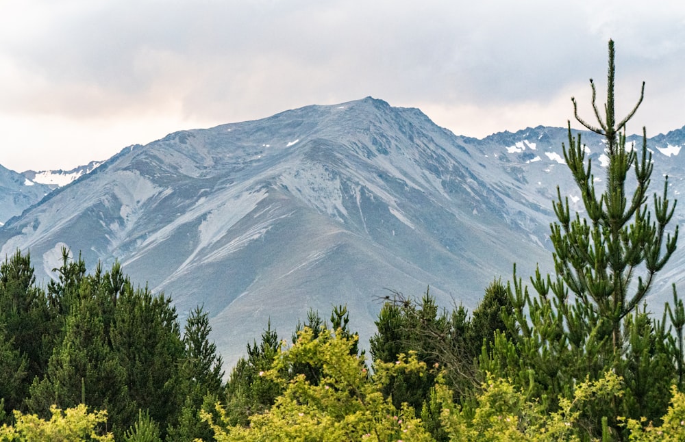 Una vista de una cadena montañosa con árboles en primer plano