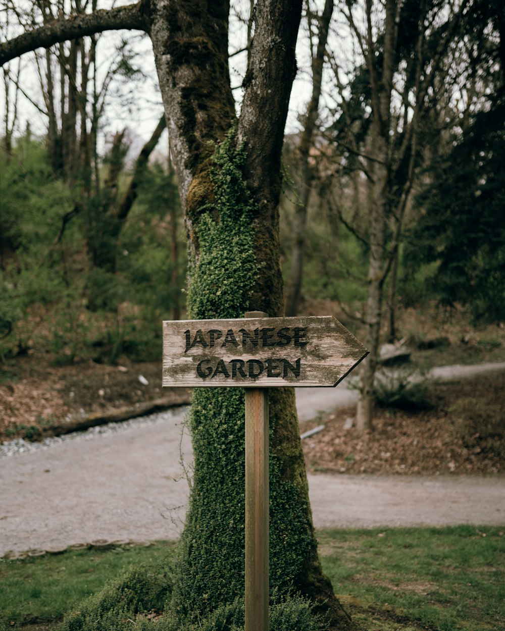 Un cartello di legno che dice giardino giapponese accanto a un albero