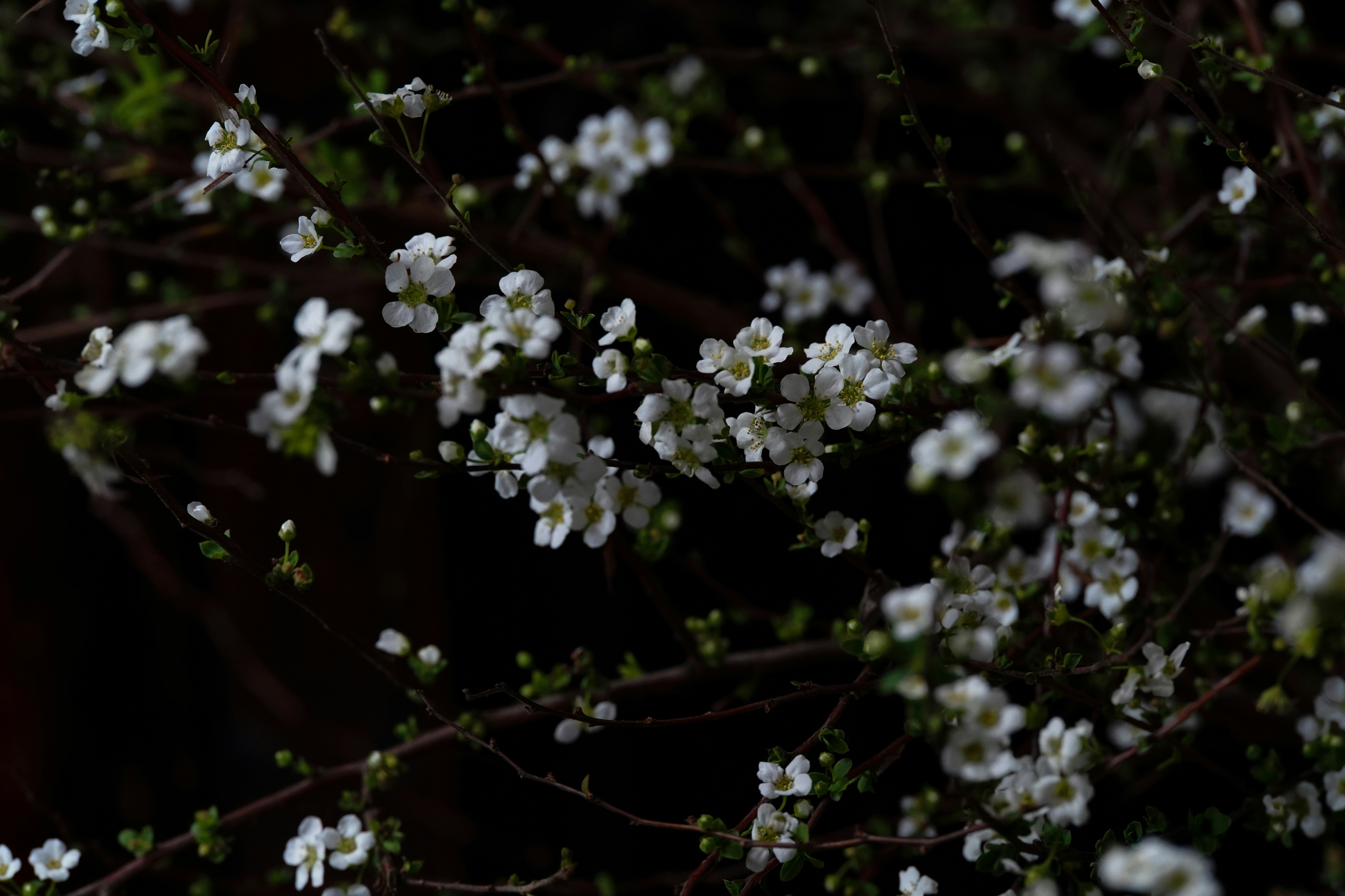 Photo by msz010dzeta