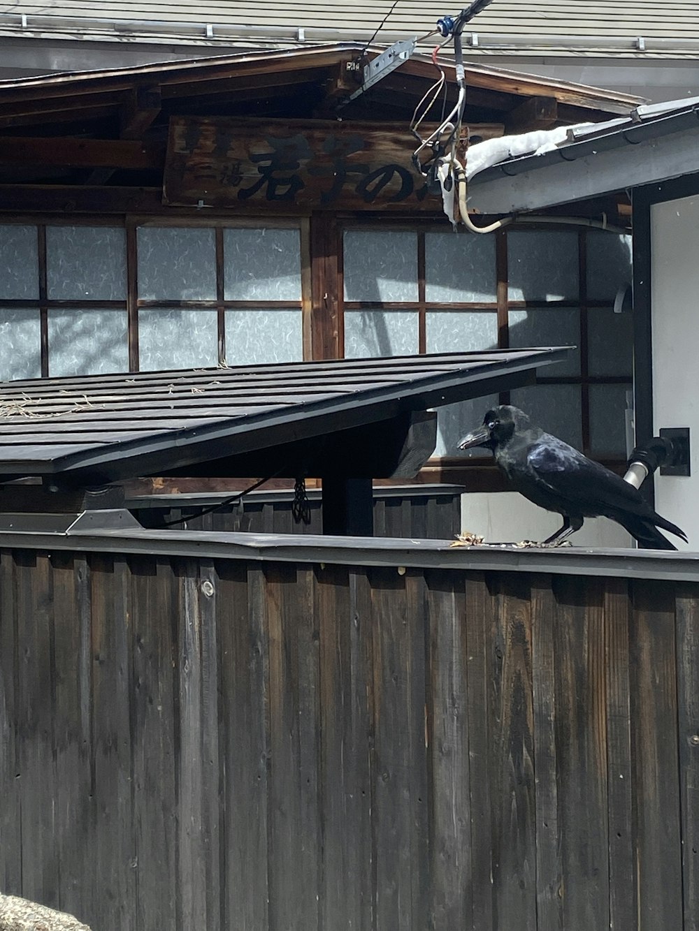 a black bird sitting on top of a wooden fence