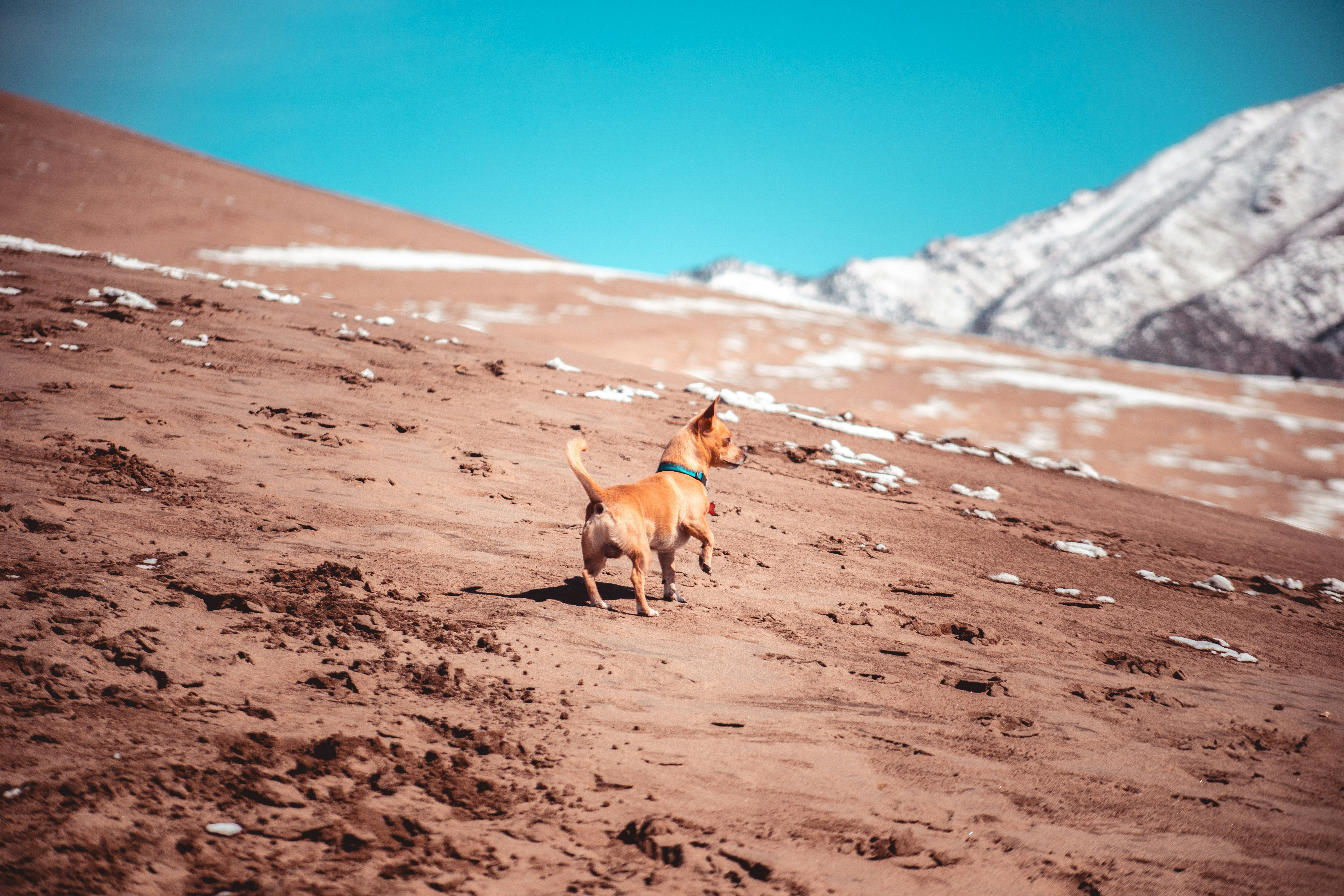 Photo by photosoflogan