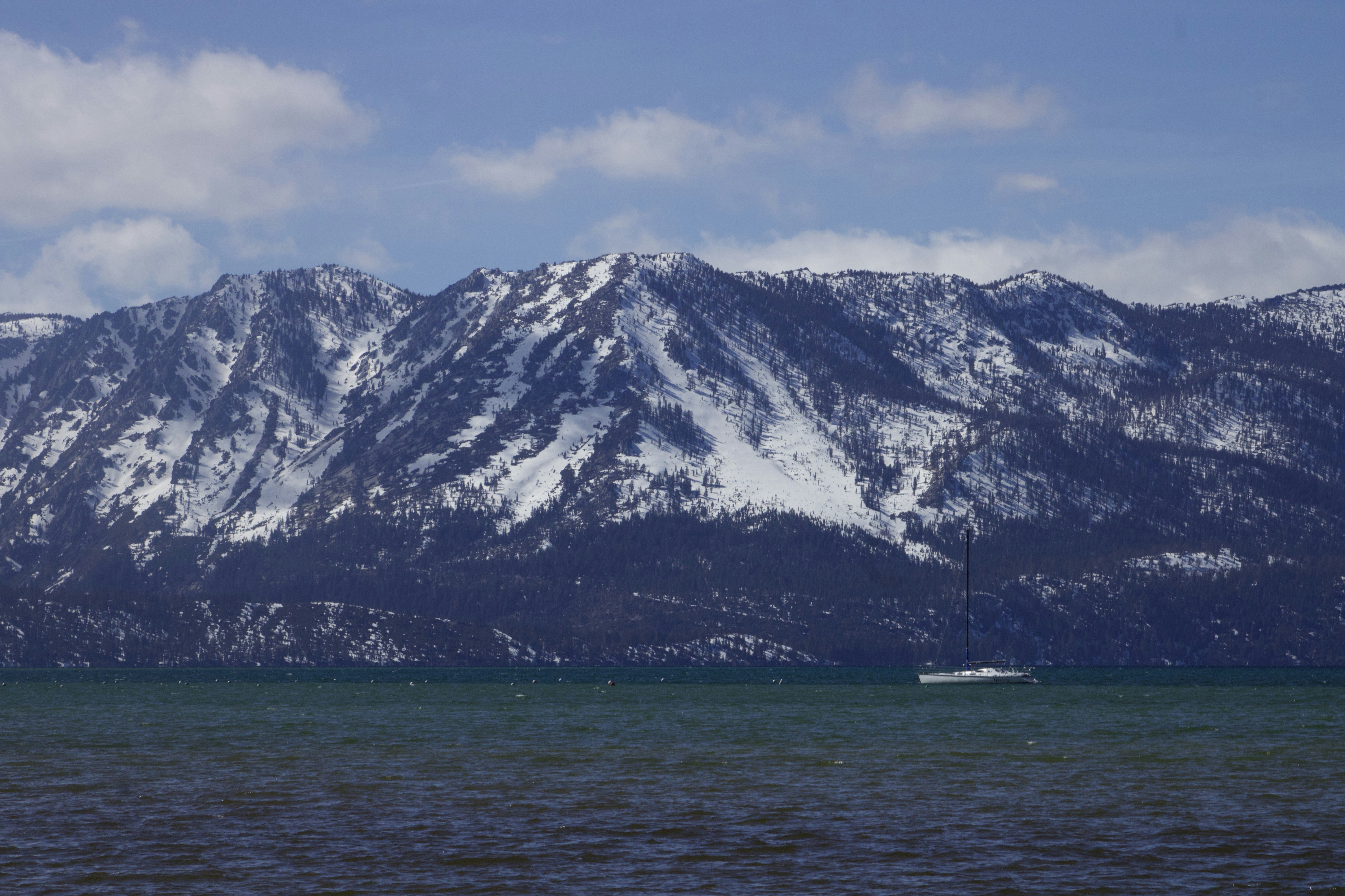 Photo by meshaxphotography