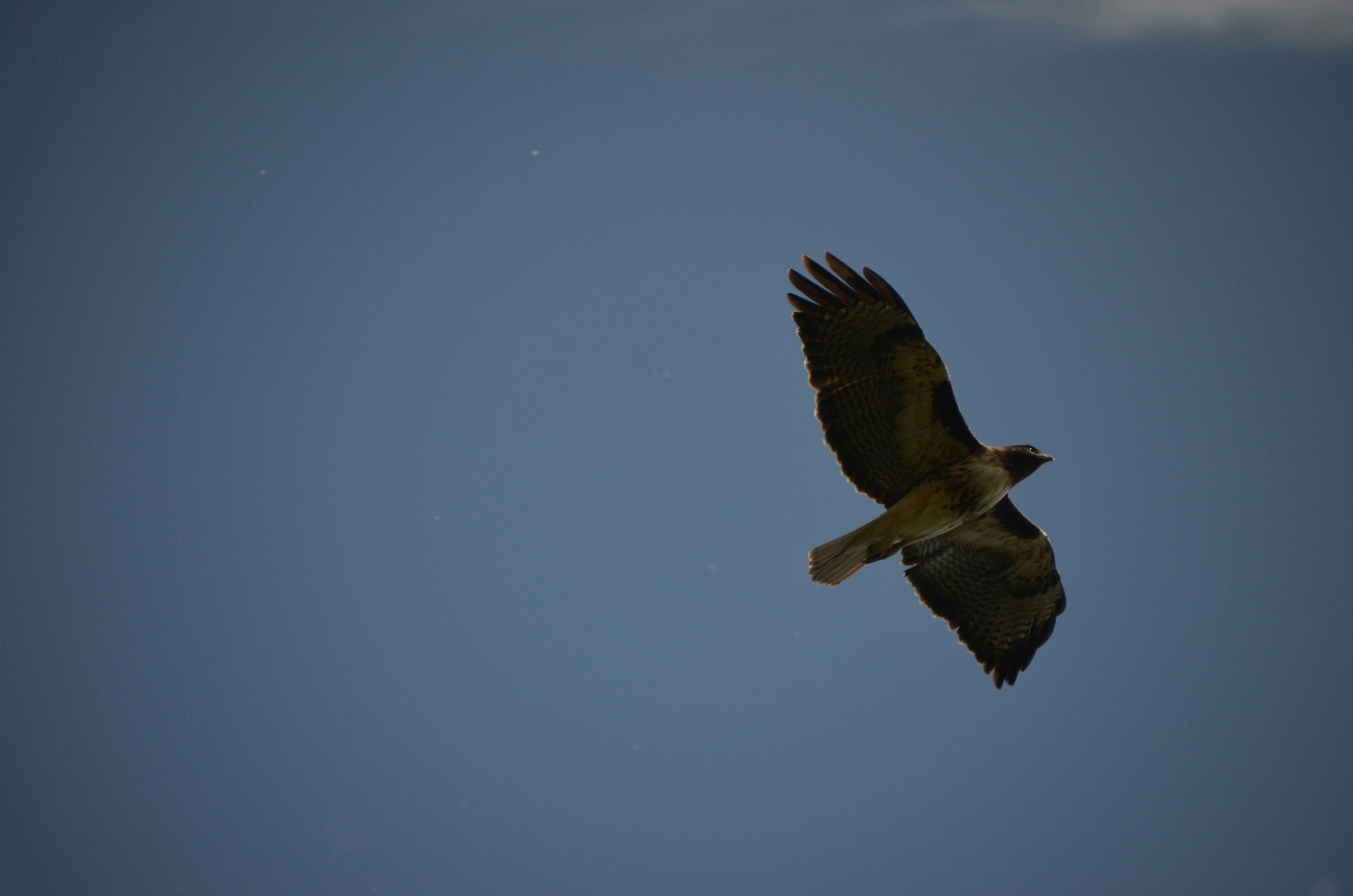 Photo by chapelbeach