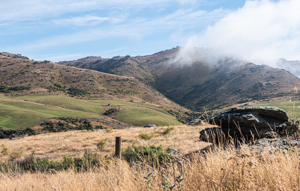 a grassy field with mountains in the background