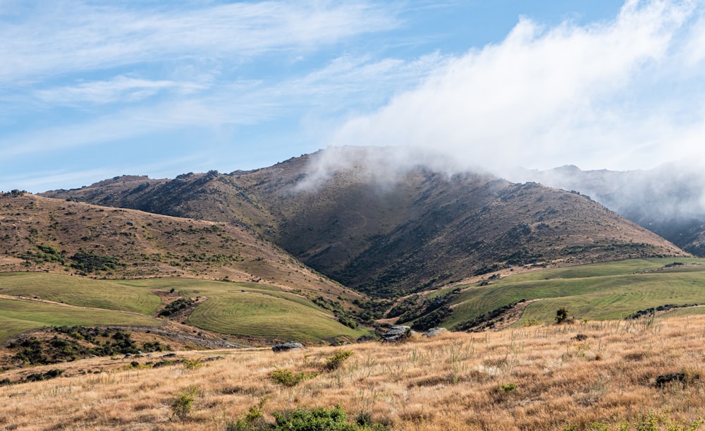 a grassy field with mountains in the background