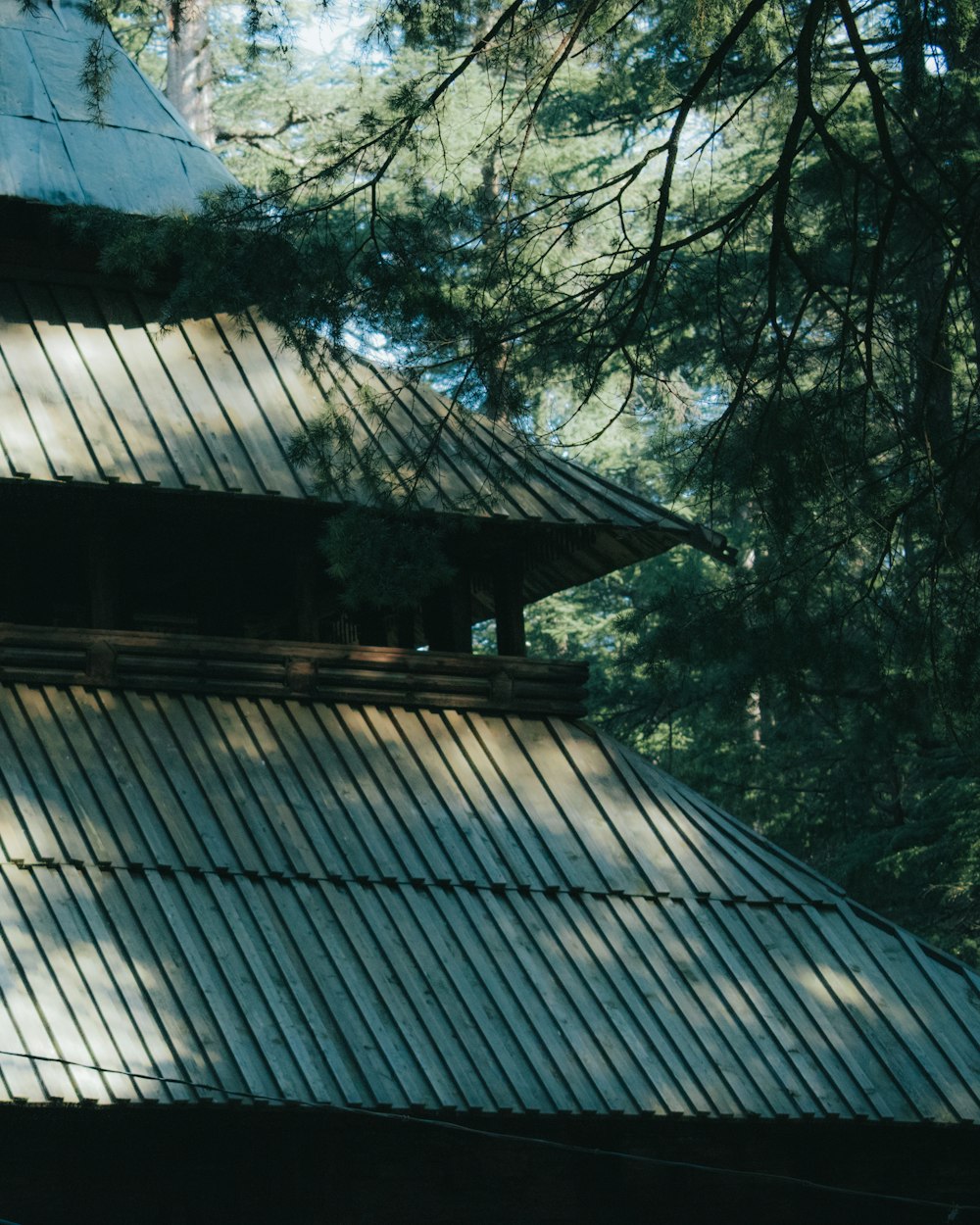 a clock on the side of a building in the woods