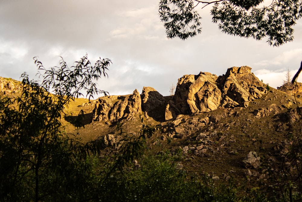 a view of a rocky mountain with trees in the foreground