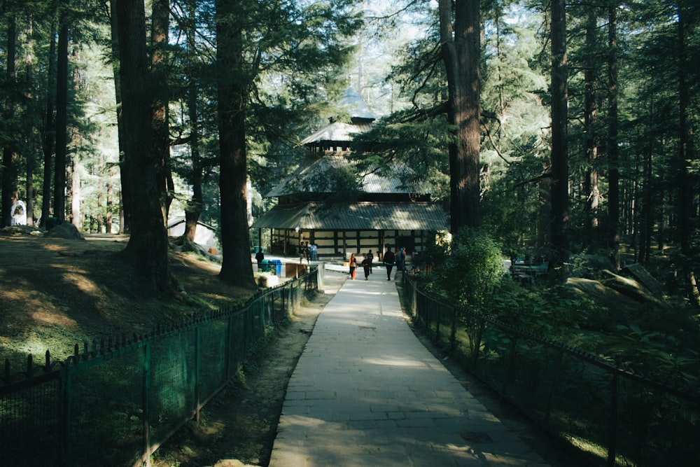 a walkway in the middle of a forest