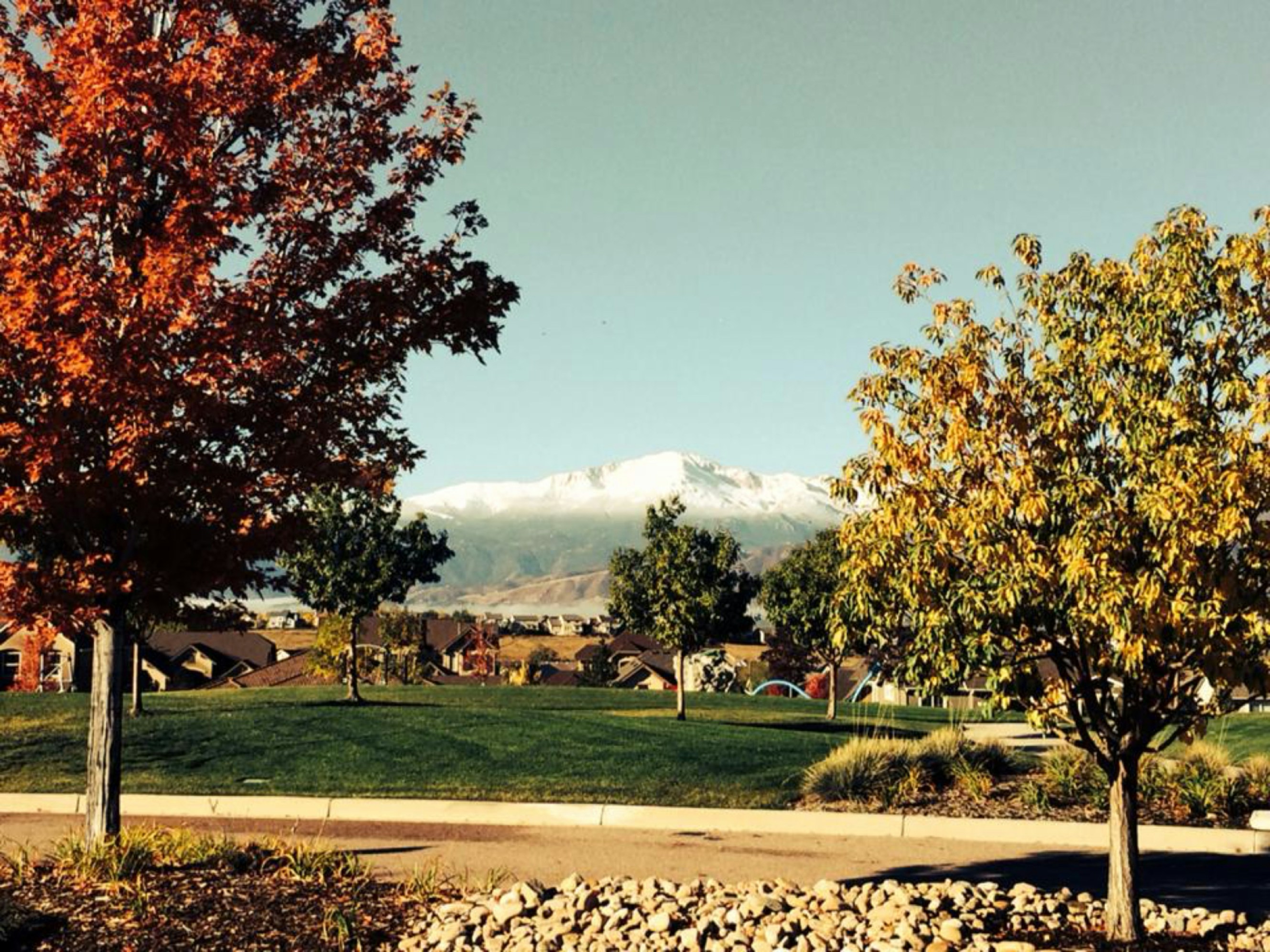 a view of a park with a mountain in the background