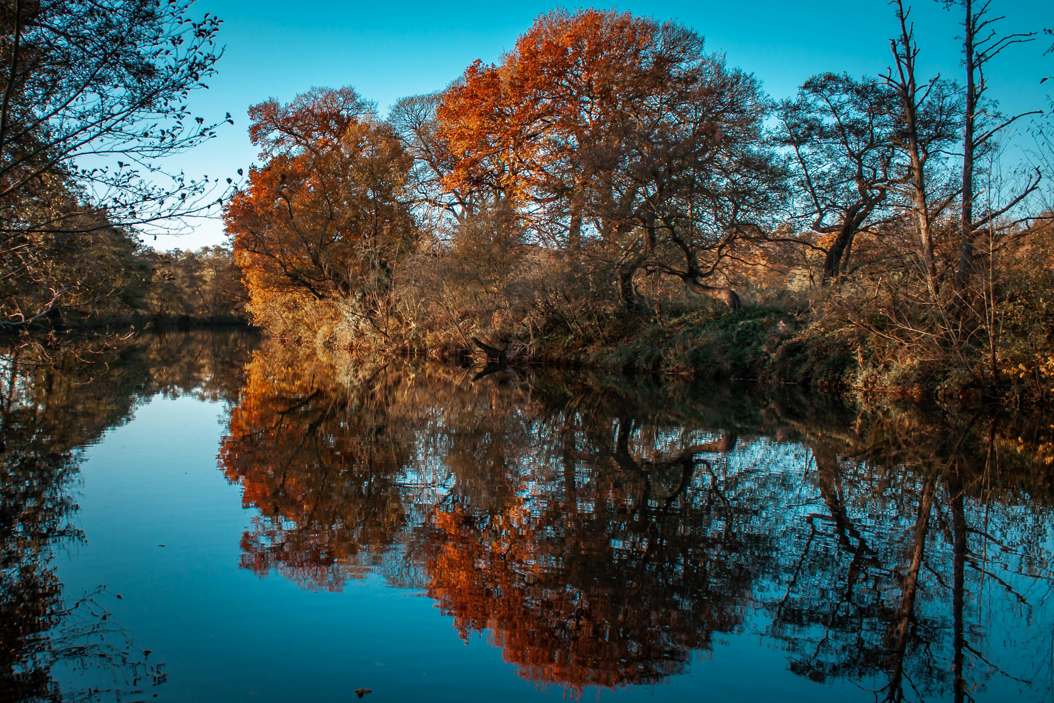 A wide river with a glassy surface, reflecting a blue sky above and trees with red and orange leaves.