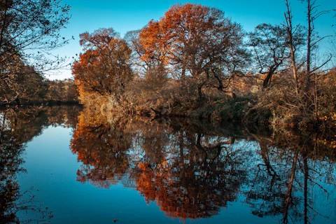 a body of water surrounded by trees with orange leaves