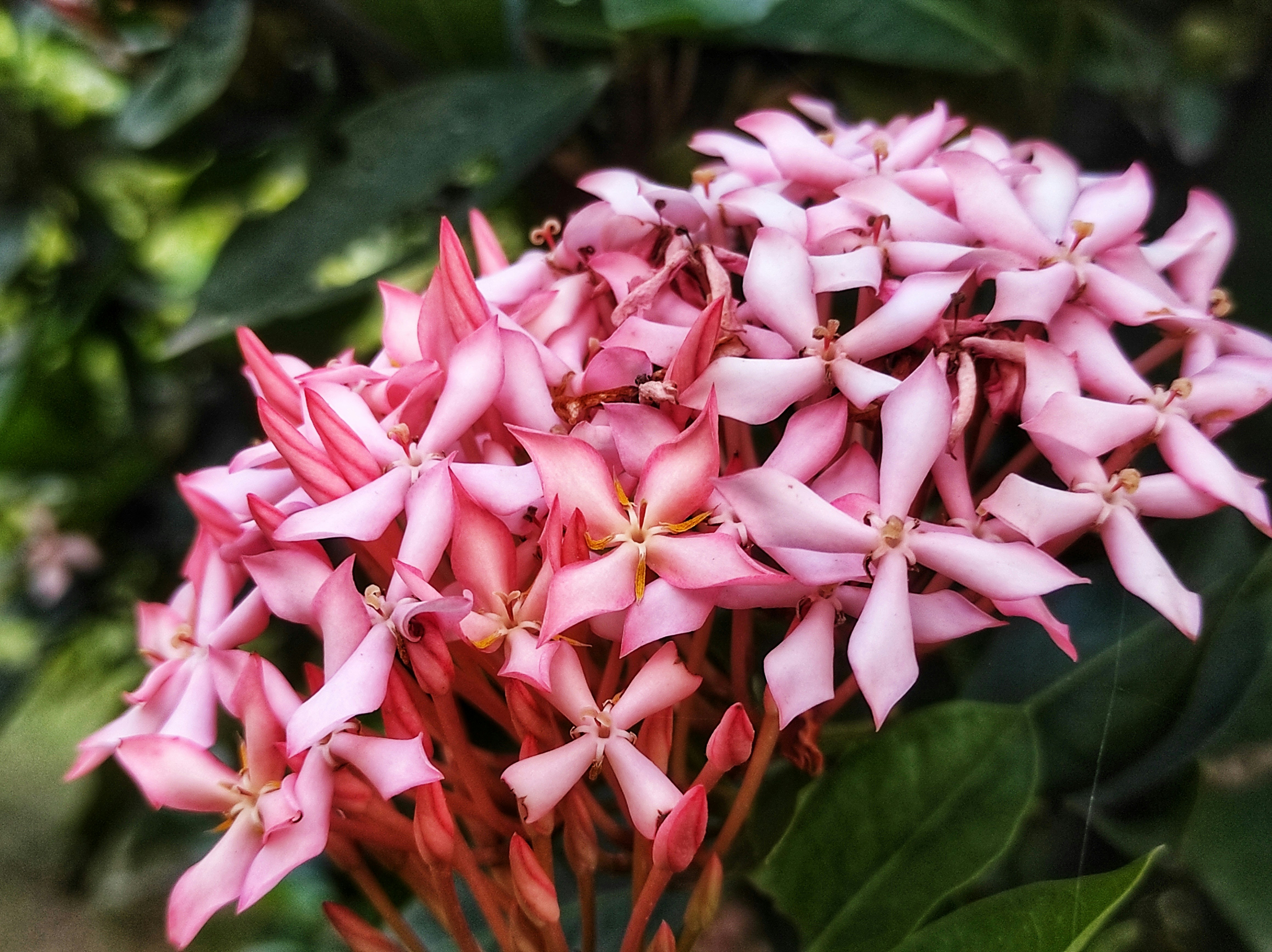 Photo by kvividsnaps