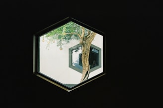 a view of a tree through a hexagonal window