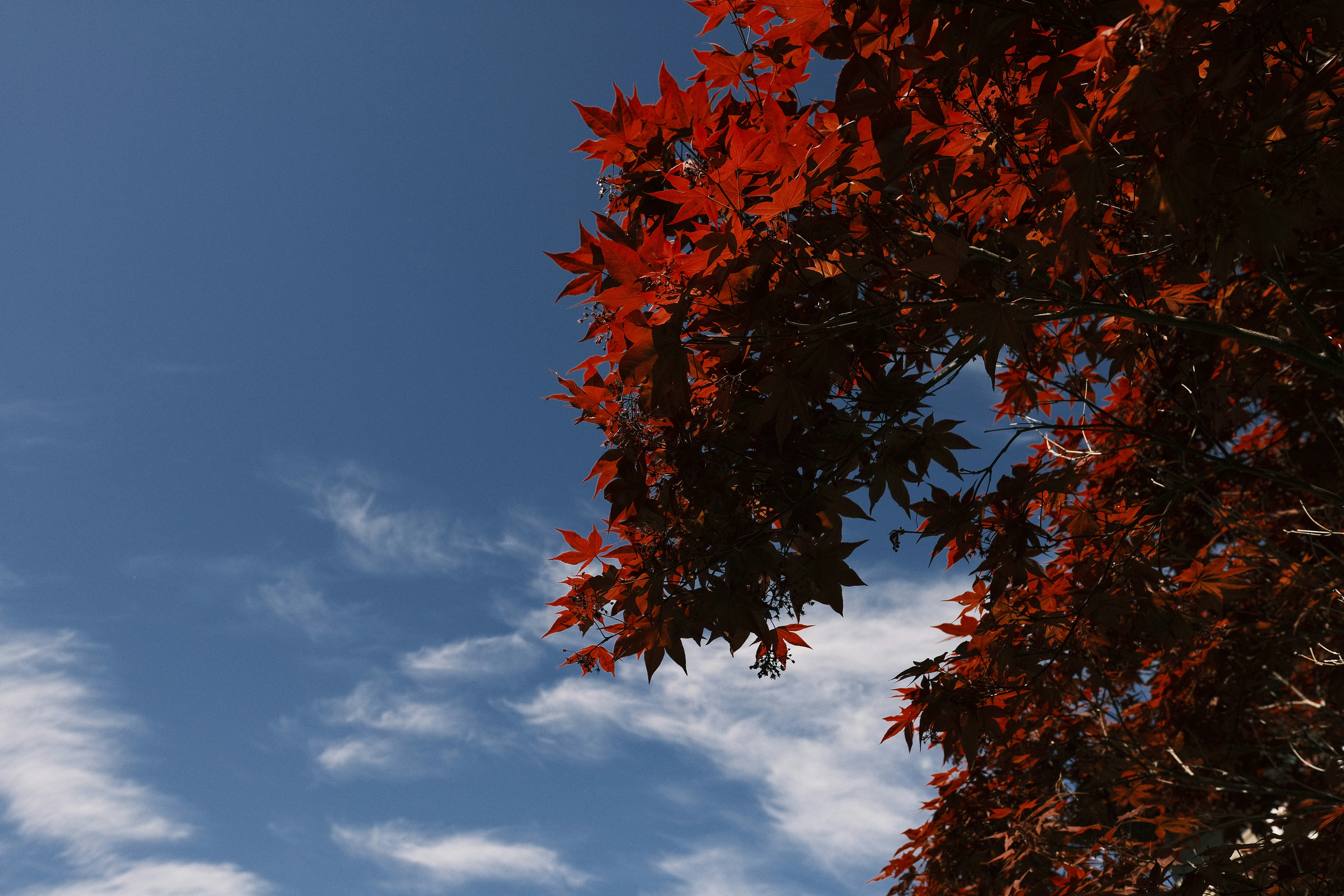 Photo by chandleraitchison