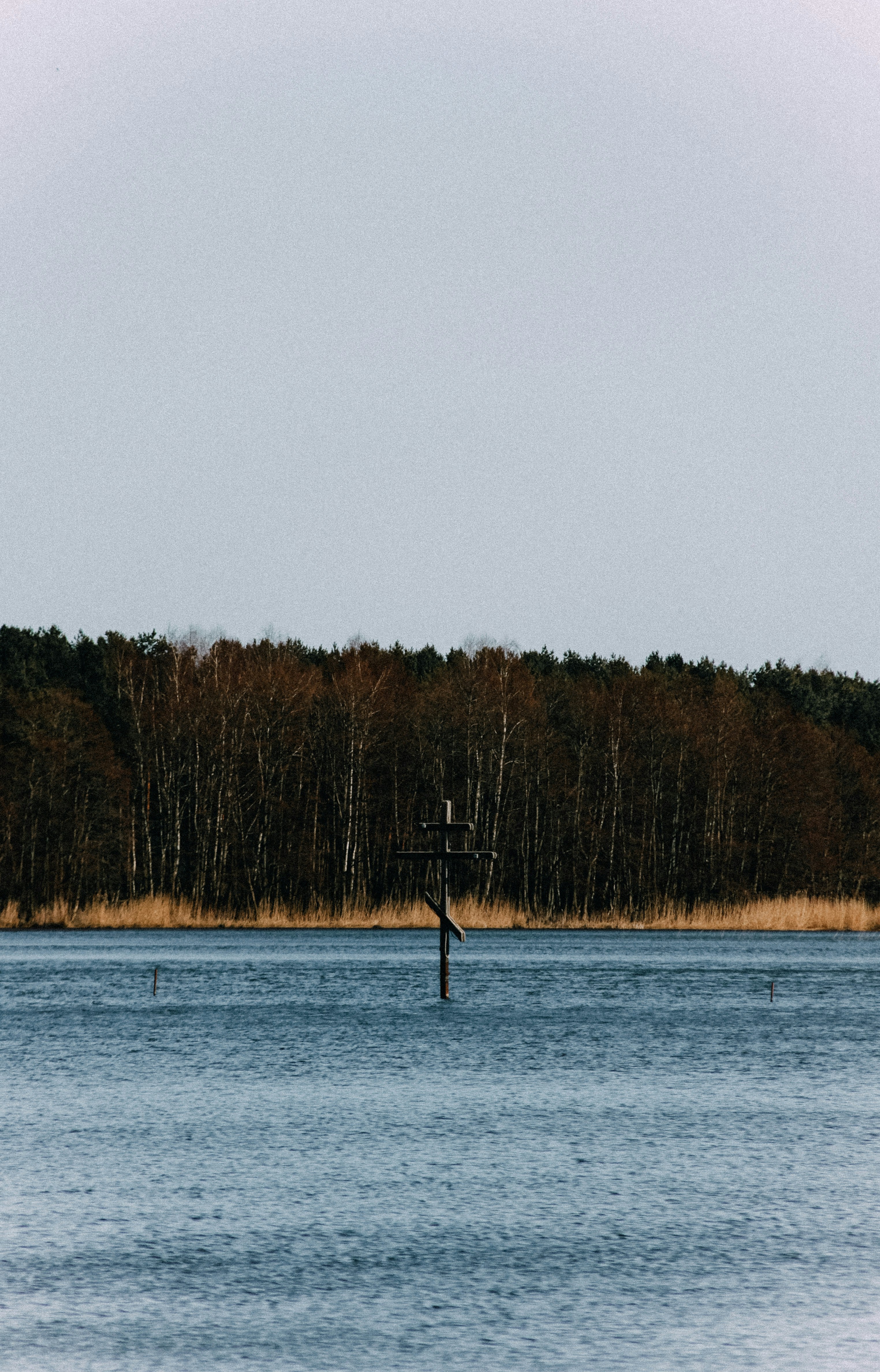 Photo by pmbekker