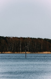 A tranquil nature scene with a cross in the foreground.