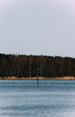 A tranquil nature scene with a cross in the foreground.