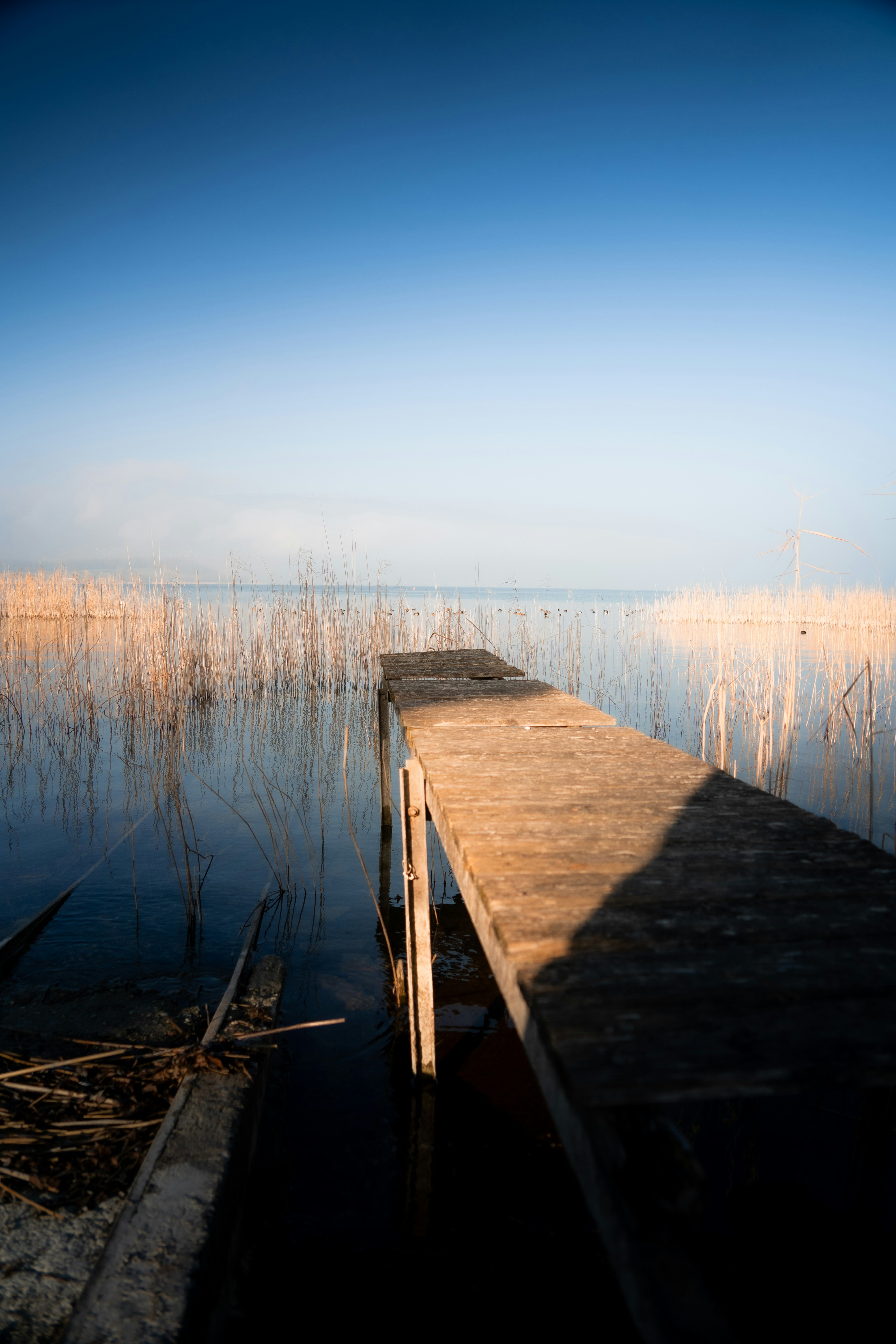 Photo by benaja_photos