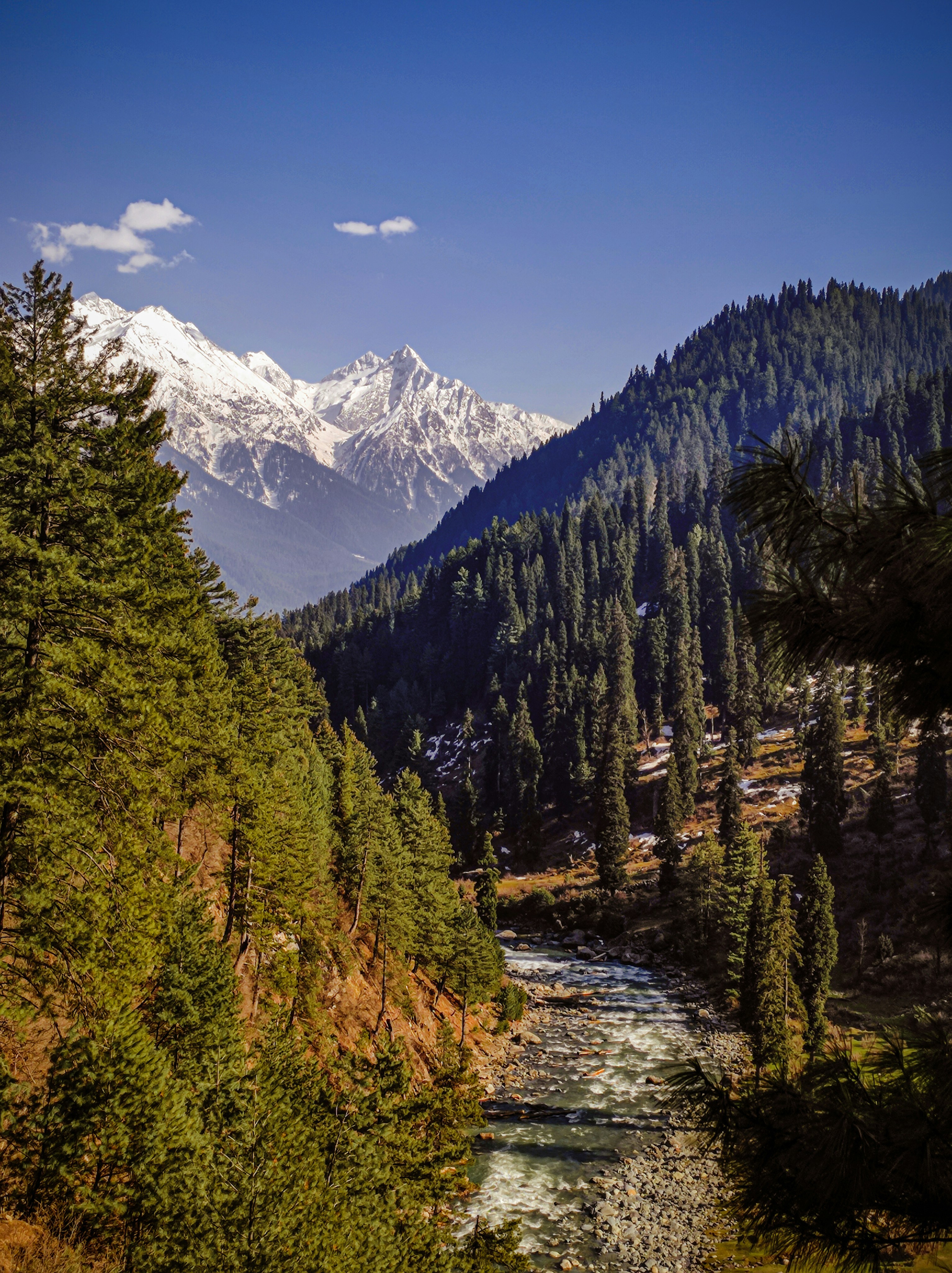 Photo by themirsuhail