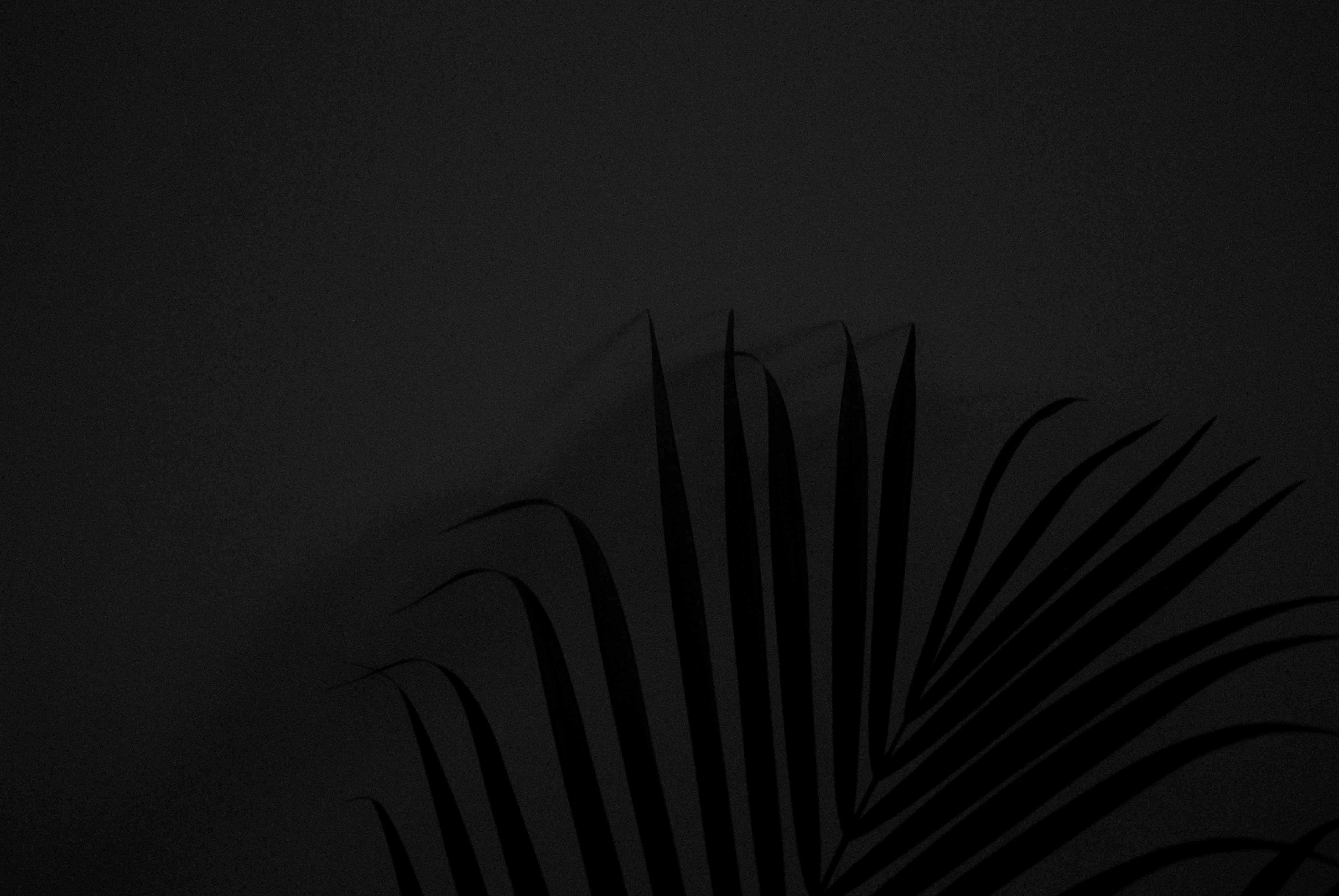 Choose from a curated selection of black wallpapers for your mobile and desktop screens. Always free on Unsplash.