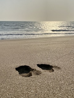 Horse footprints marking the wet sand under a bright blue sky.