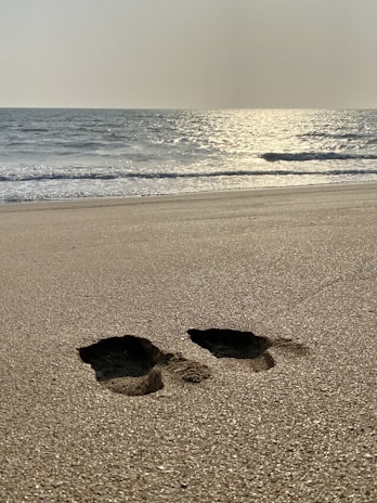 Horse footprints marking the wet sand under a bright blue sky.