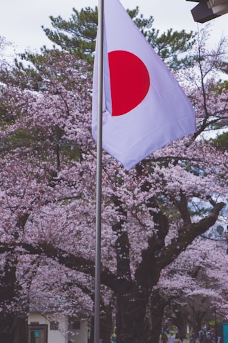 a flag on a pole in front of a tree