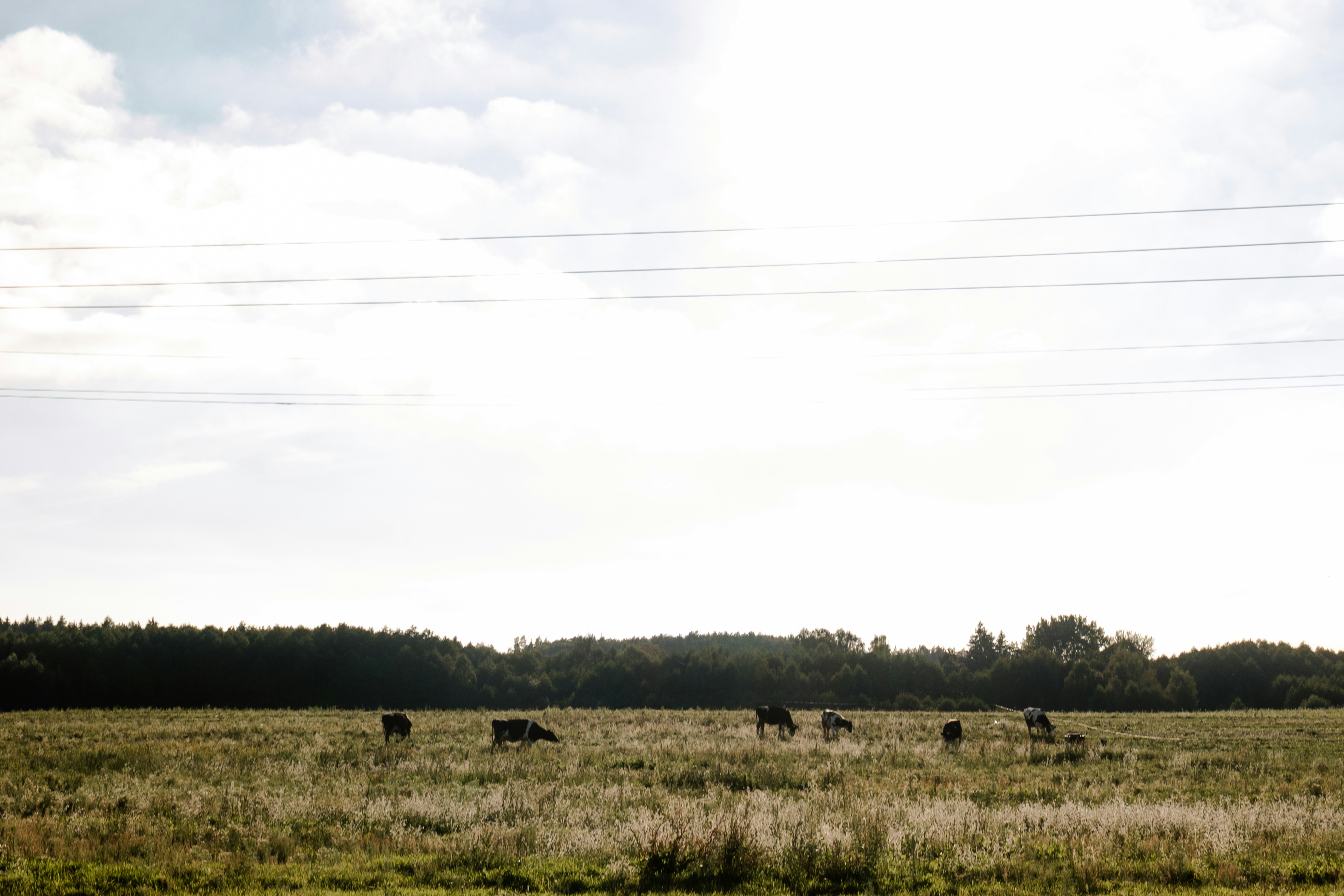 Photo by obscurespace