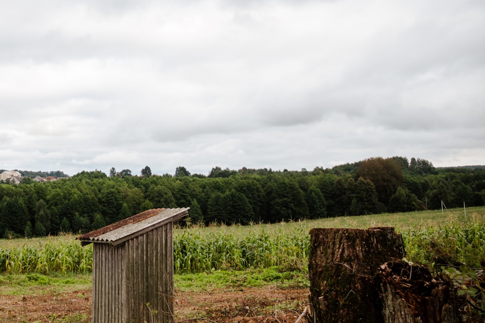 a wooden outhouse in a field with trees in the background