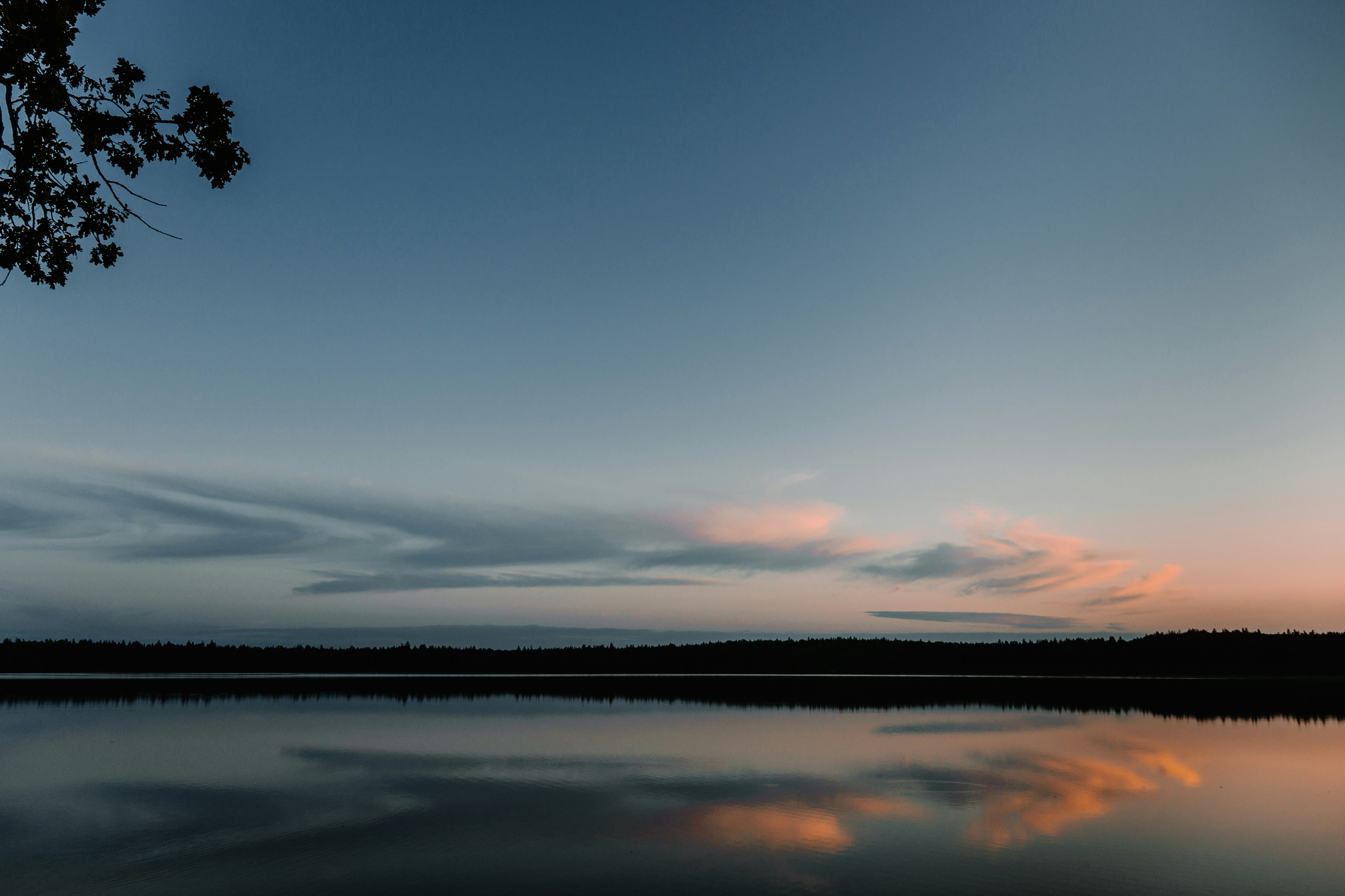 Photo by obscurespace