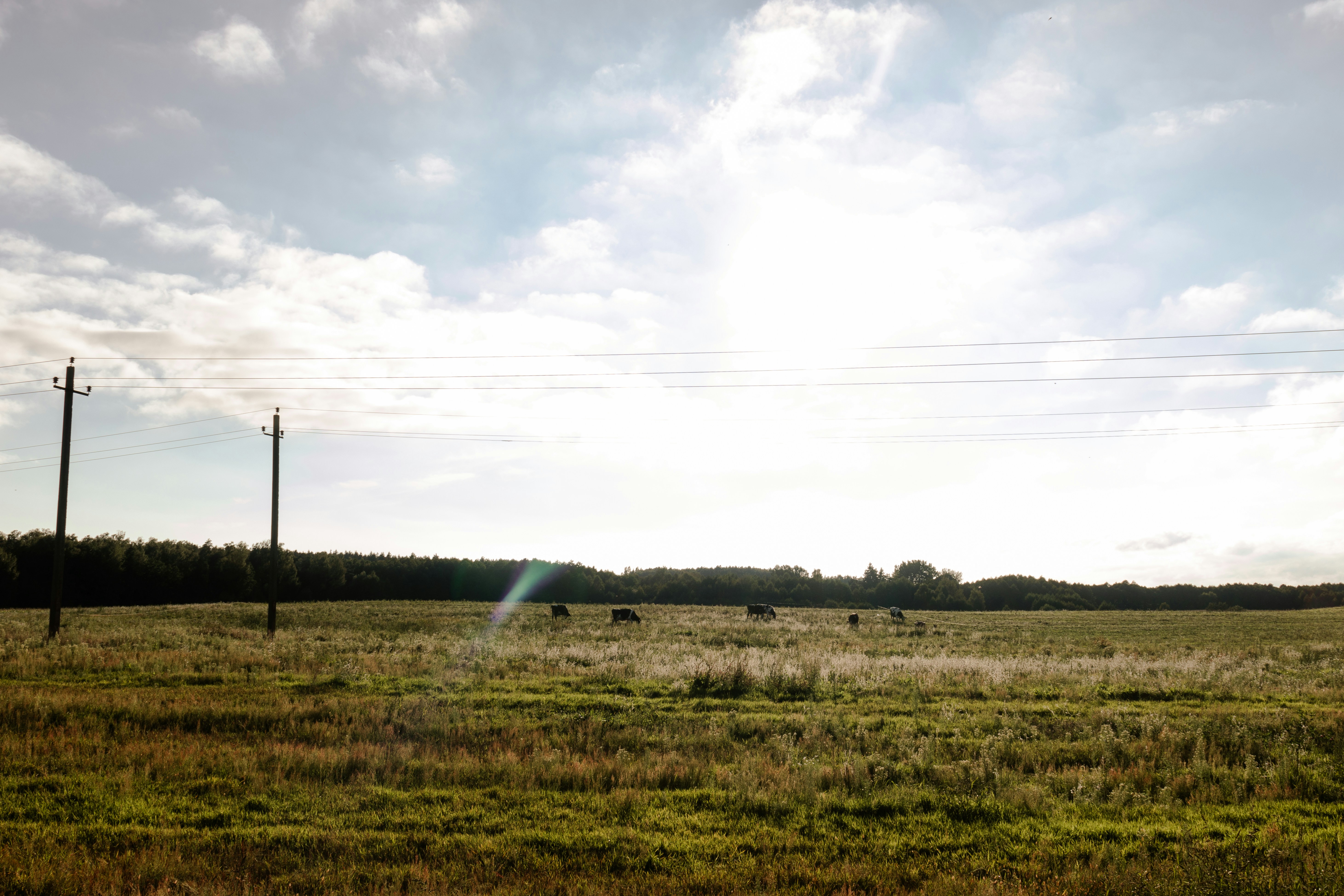 Photo by obscurespace