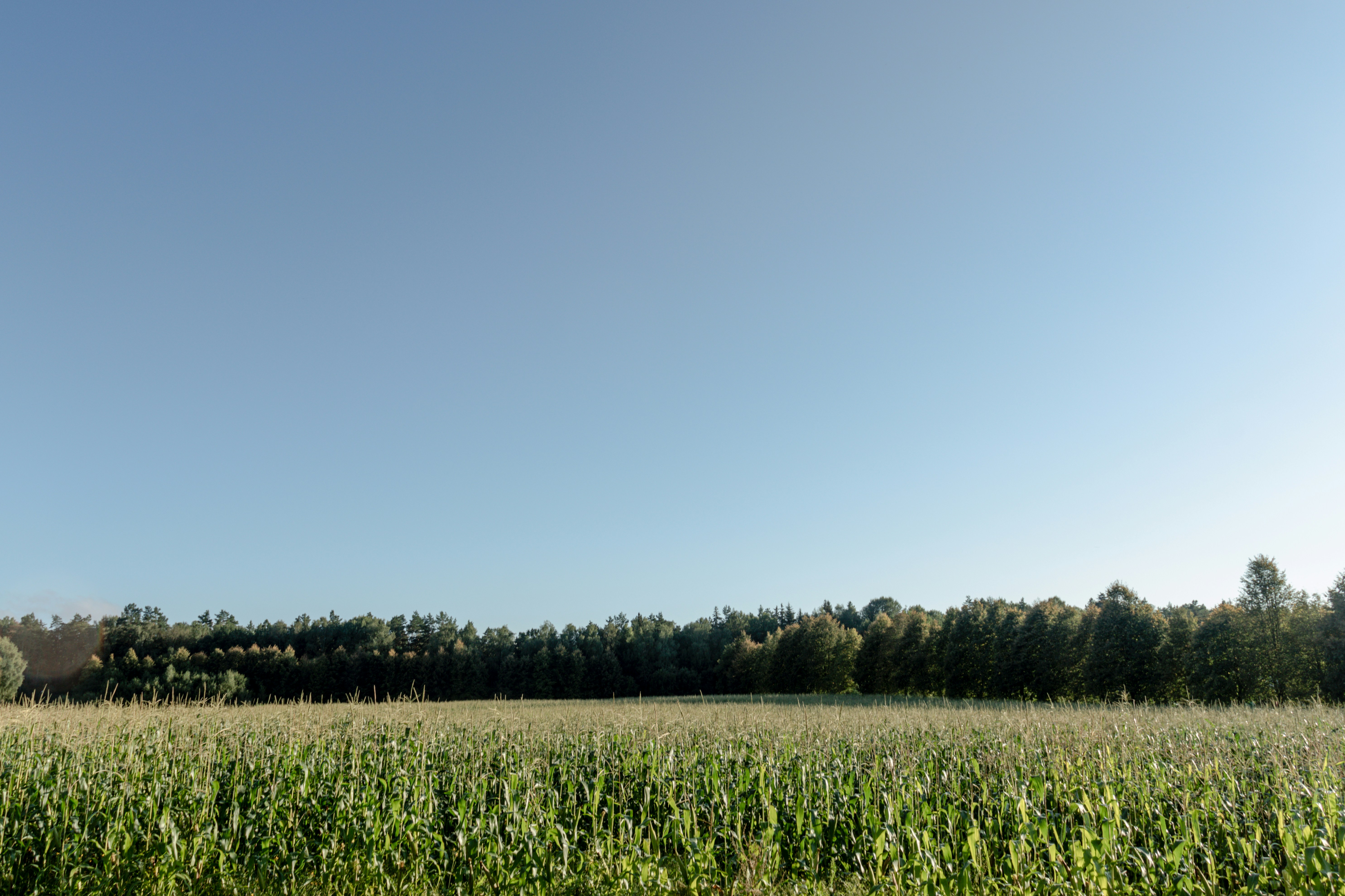 Photo by obscurespace