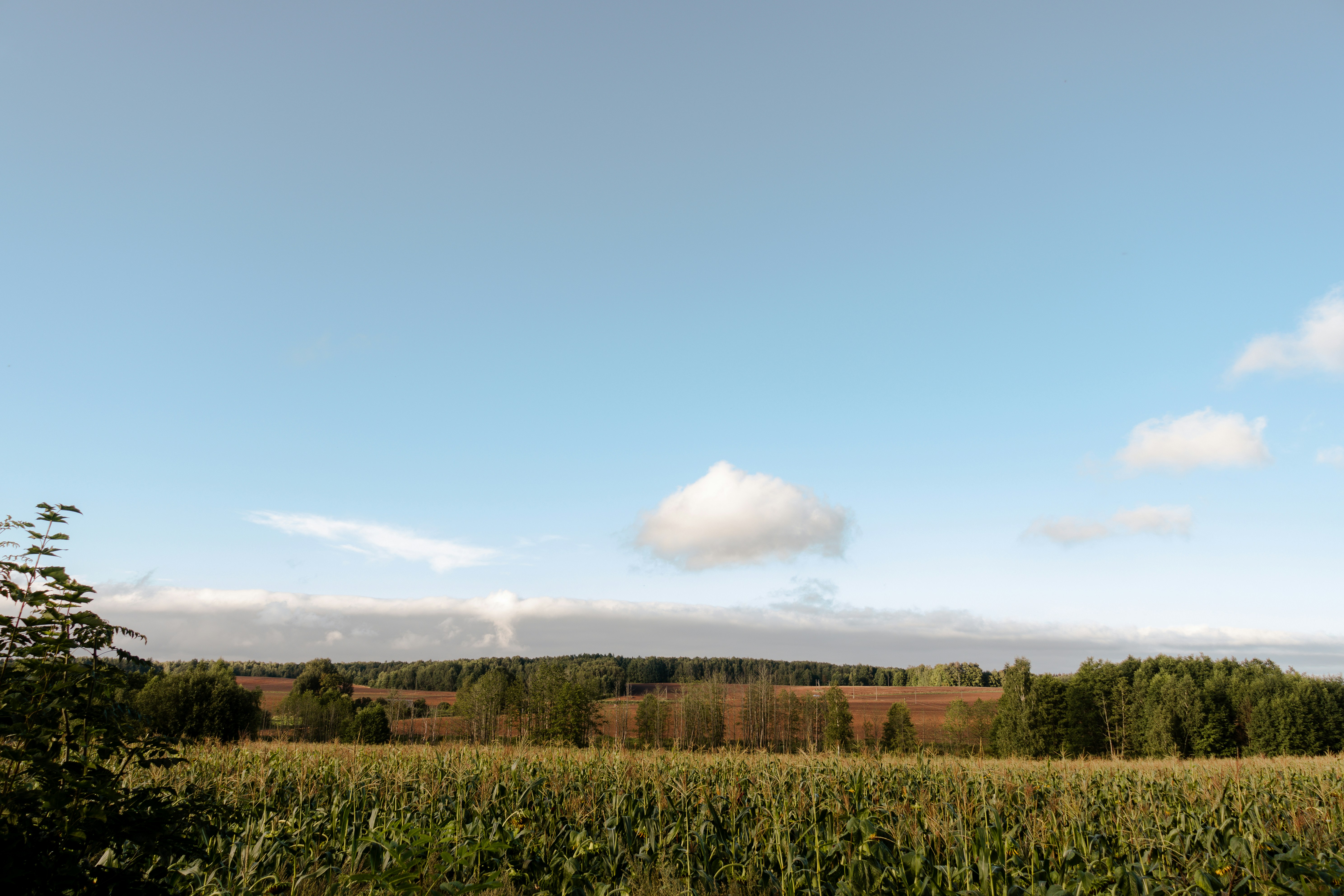 Photo by obscurespace