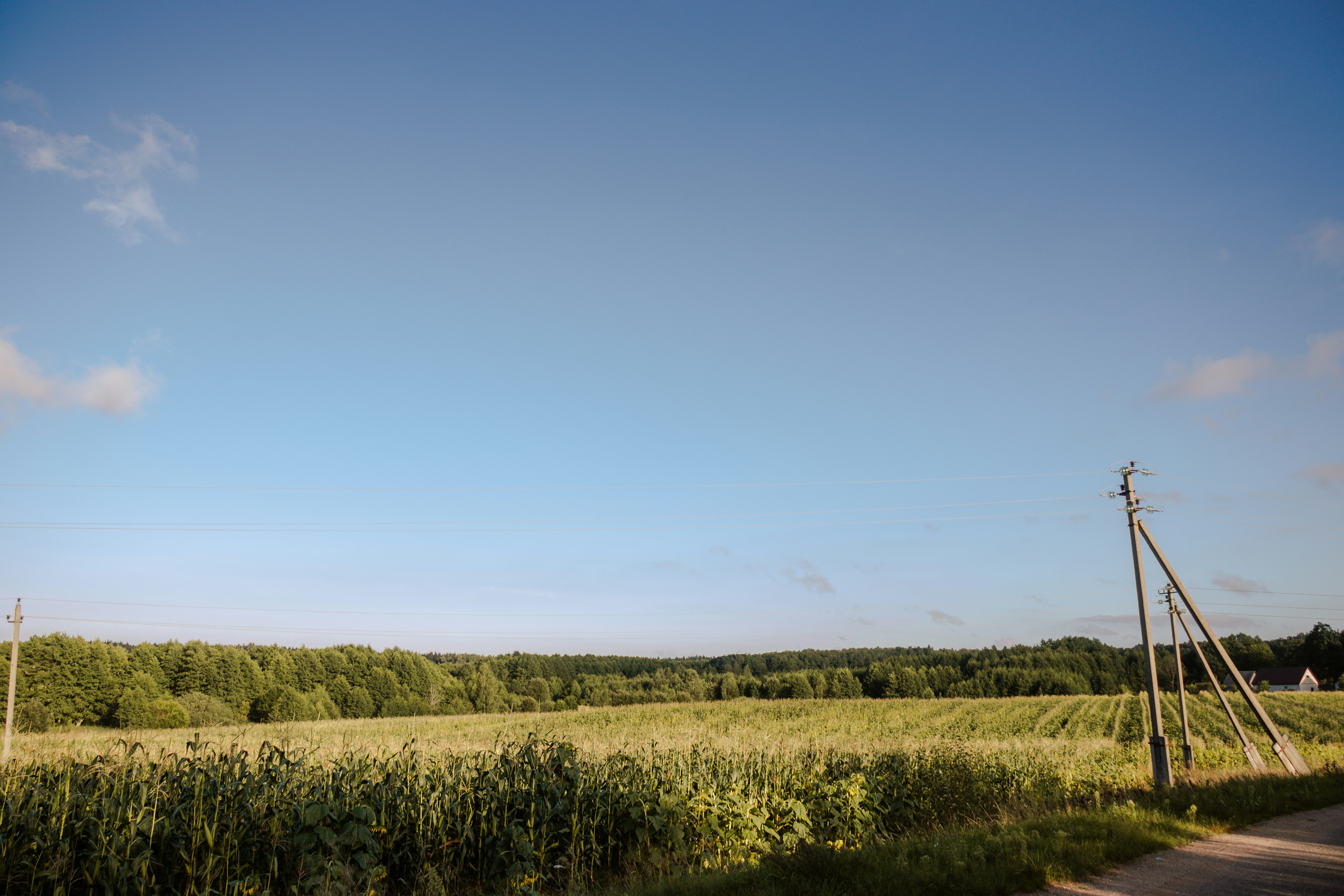 Photo by obscurespace