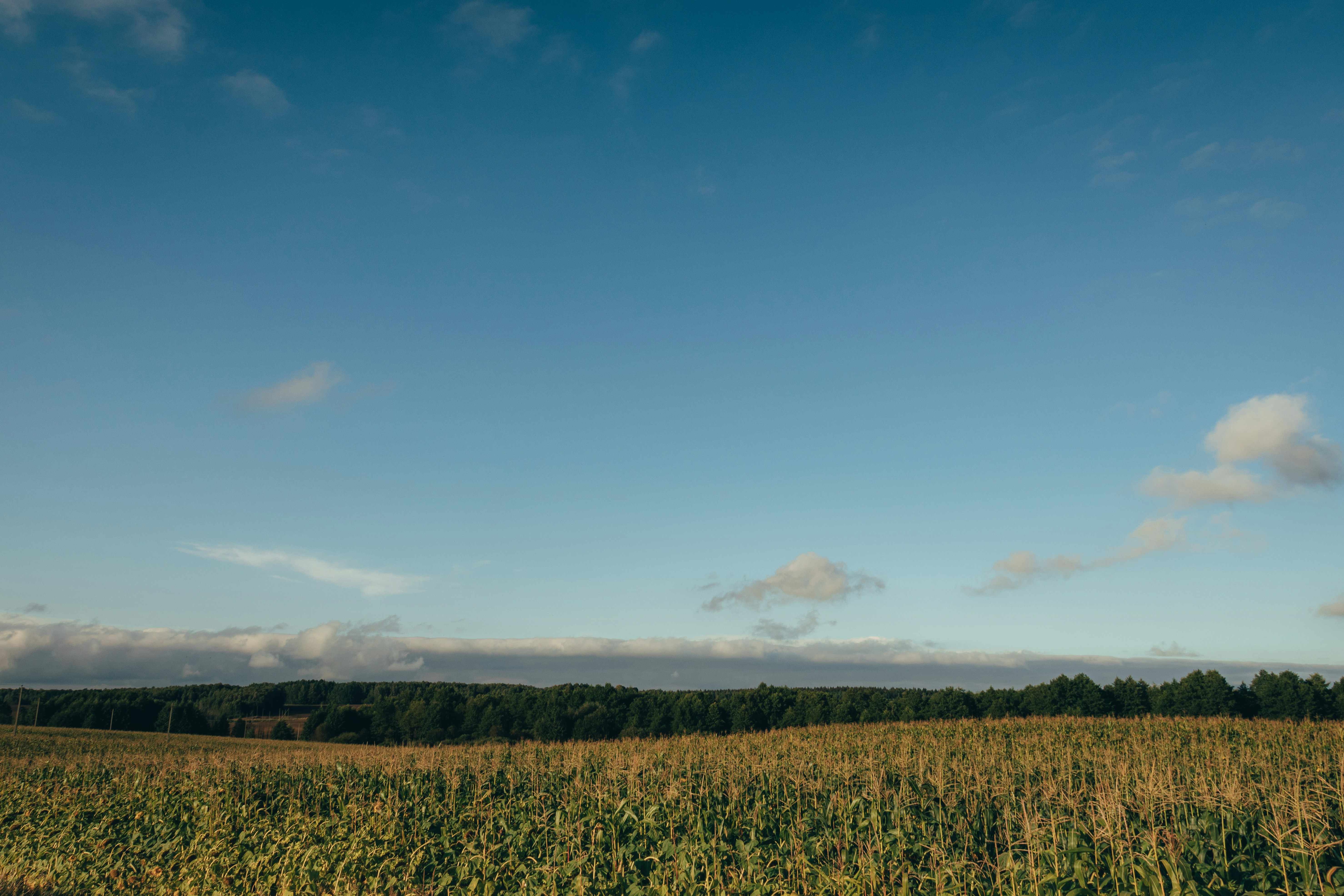 Photo by obscurespace