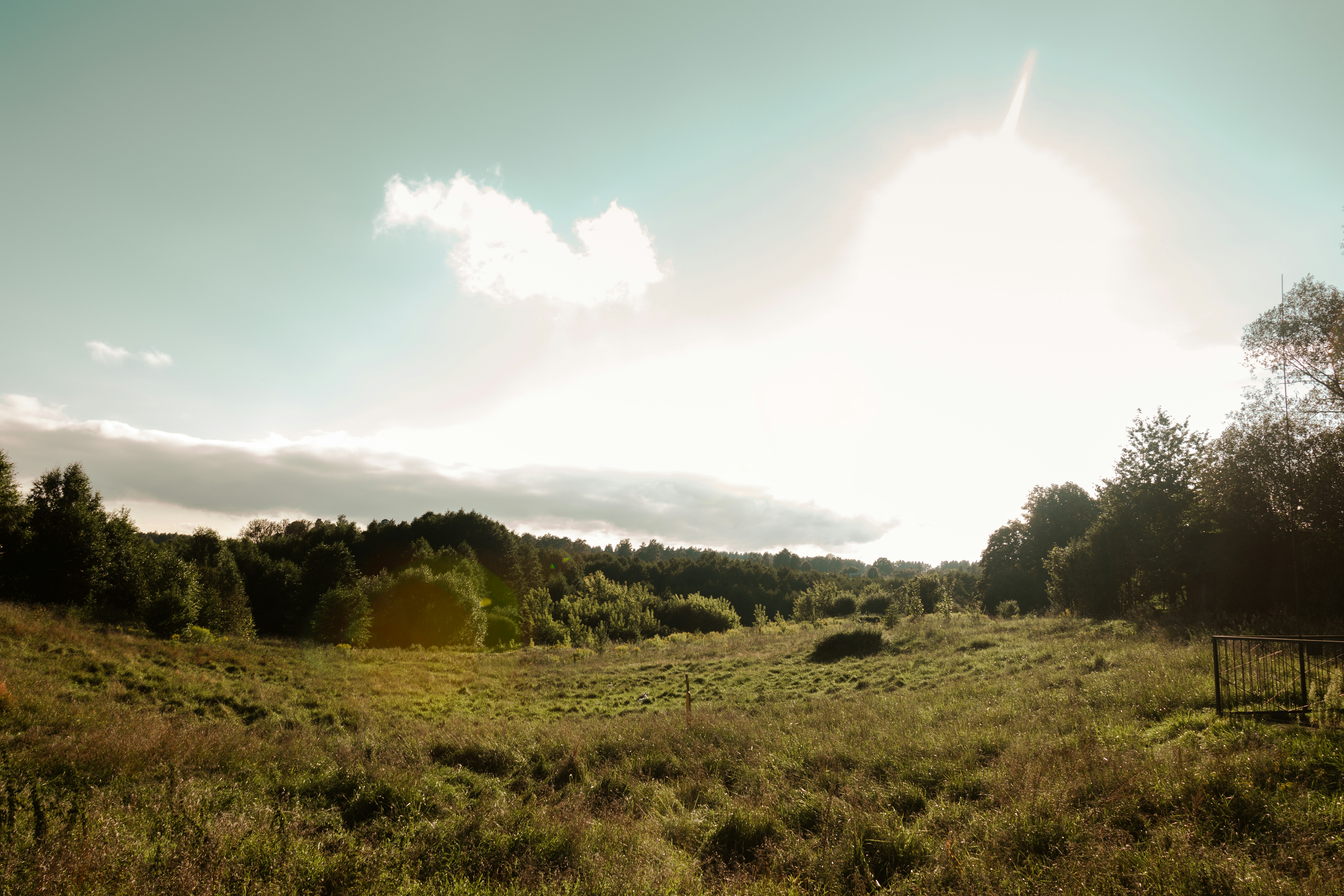 Photo by obscurespace