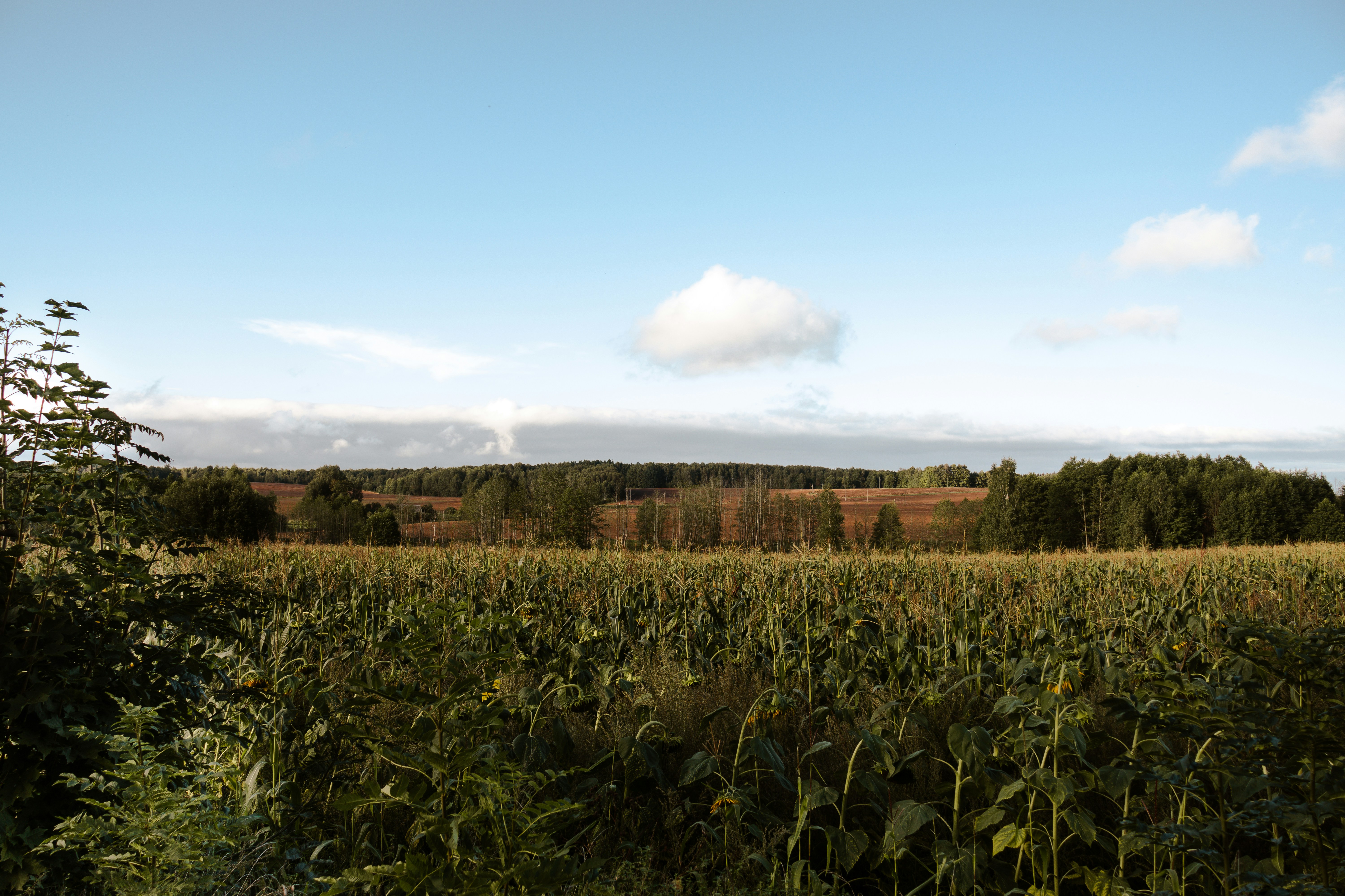 Photo by obscurespace