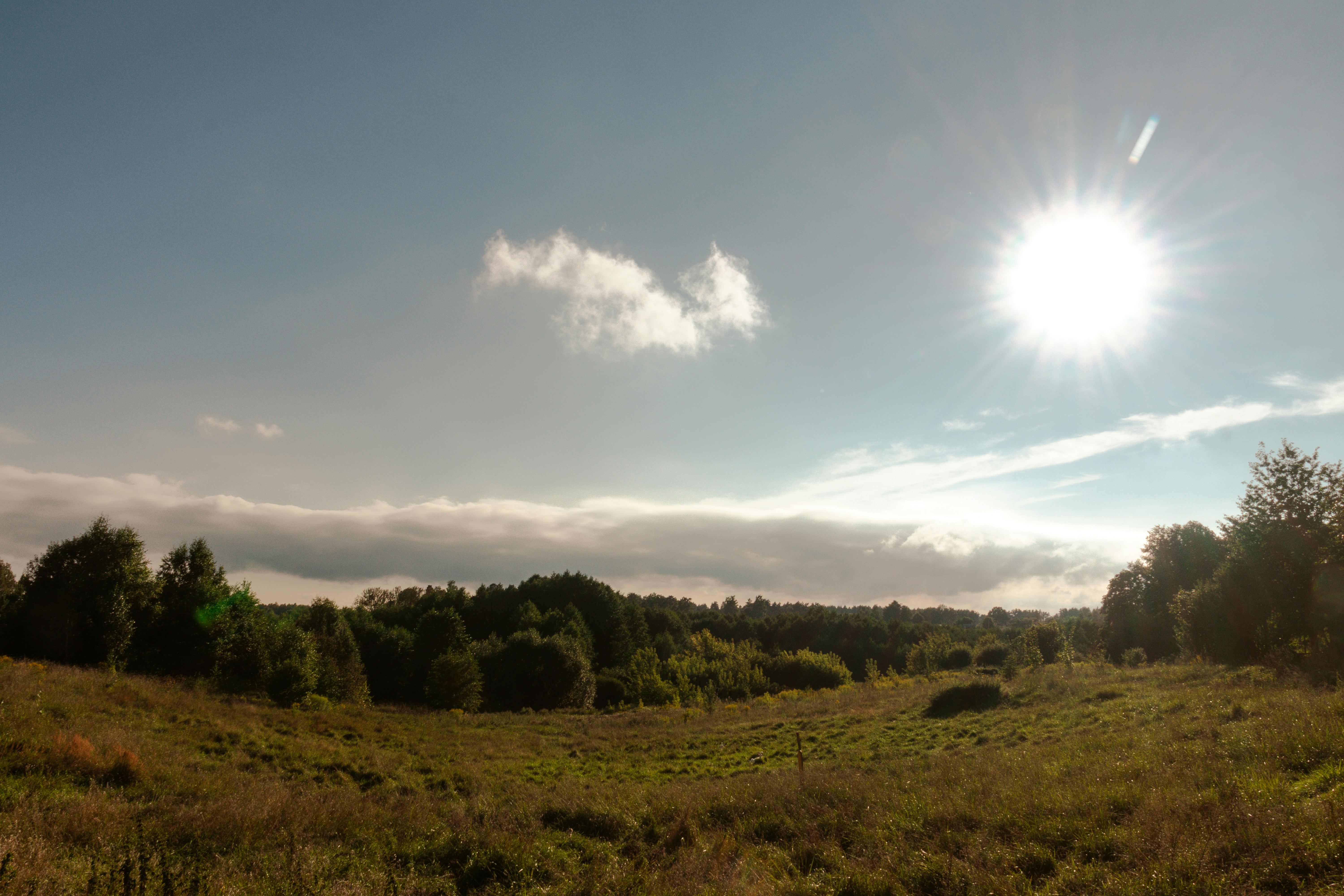 Photo by obscurespace