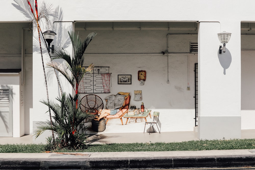 a white building with a palm tree in front of it