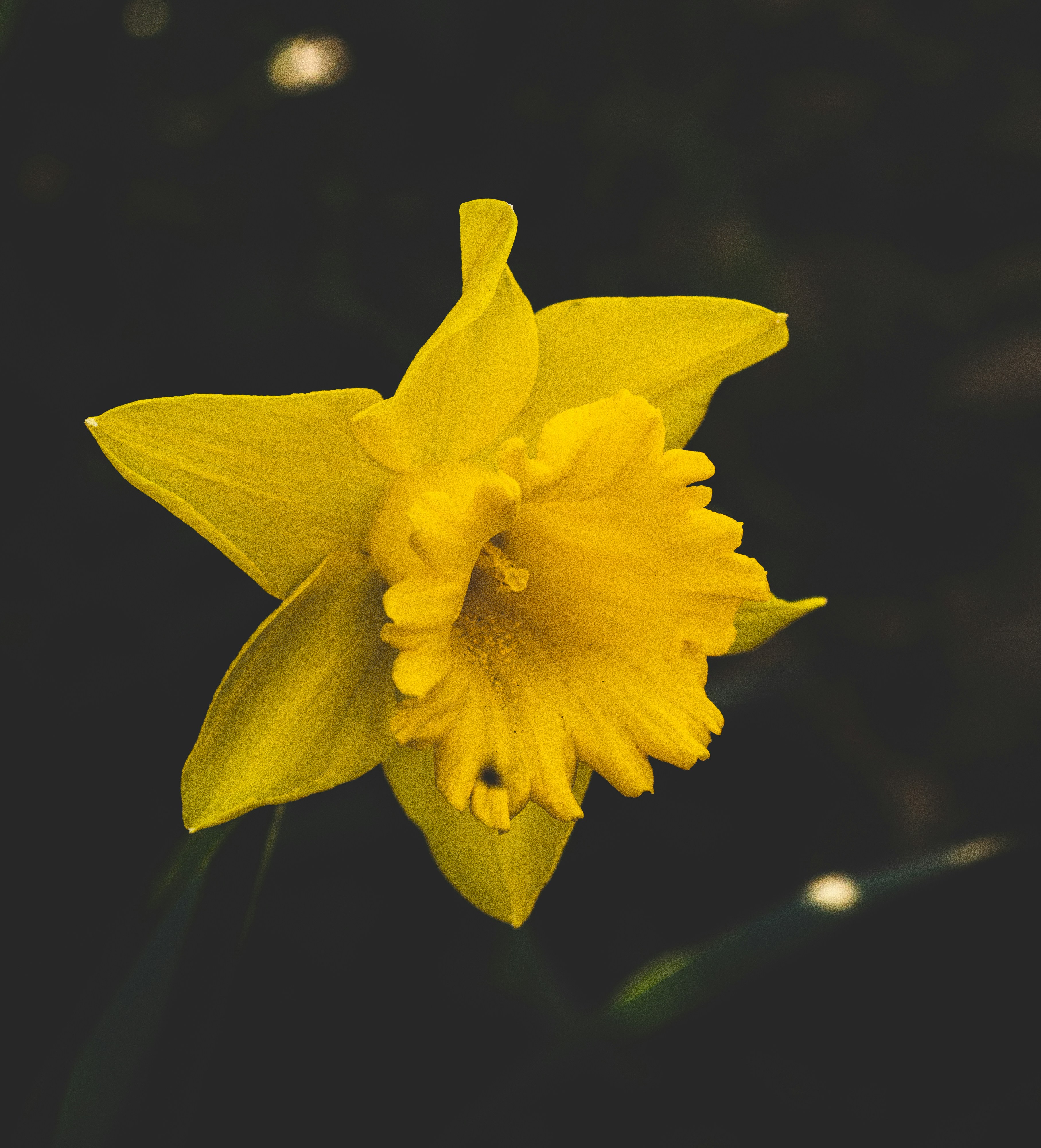 Photo by bcm_photography