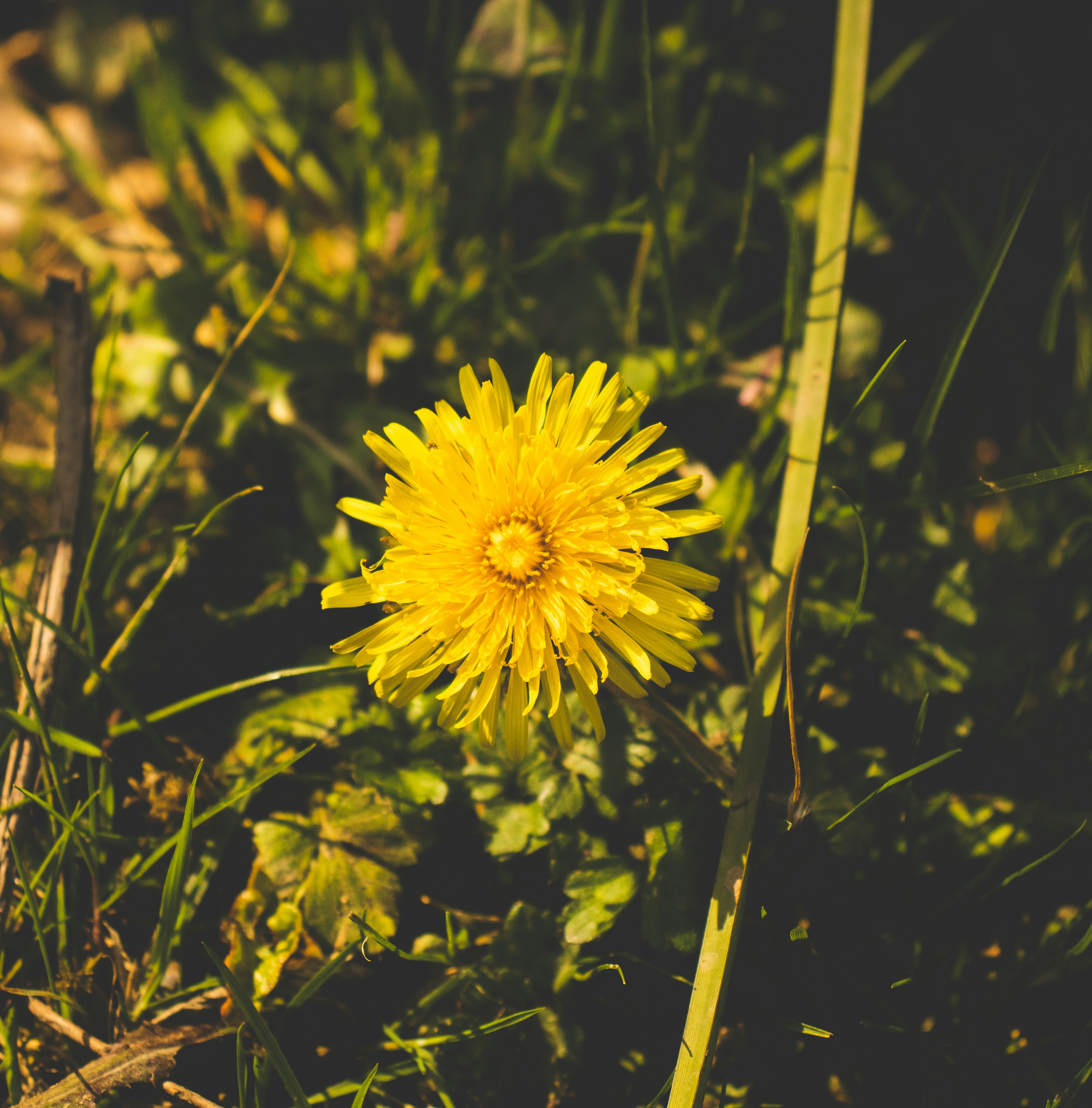 Photo by bcm_photography