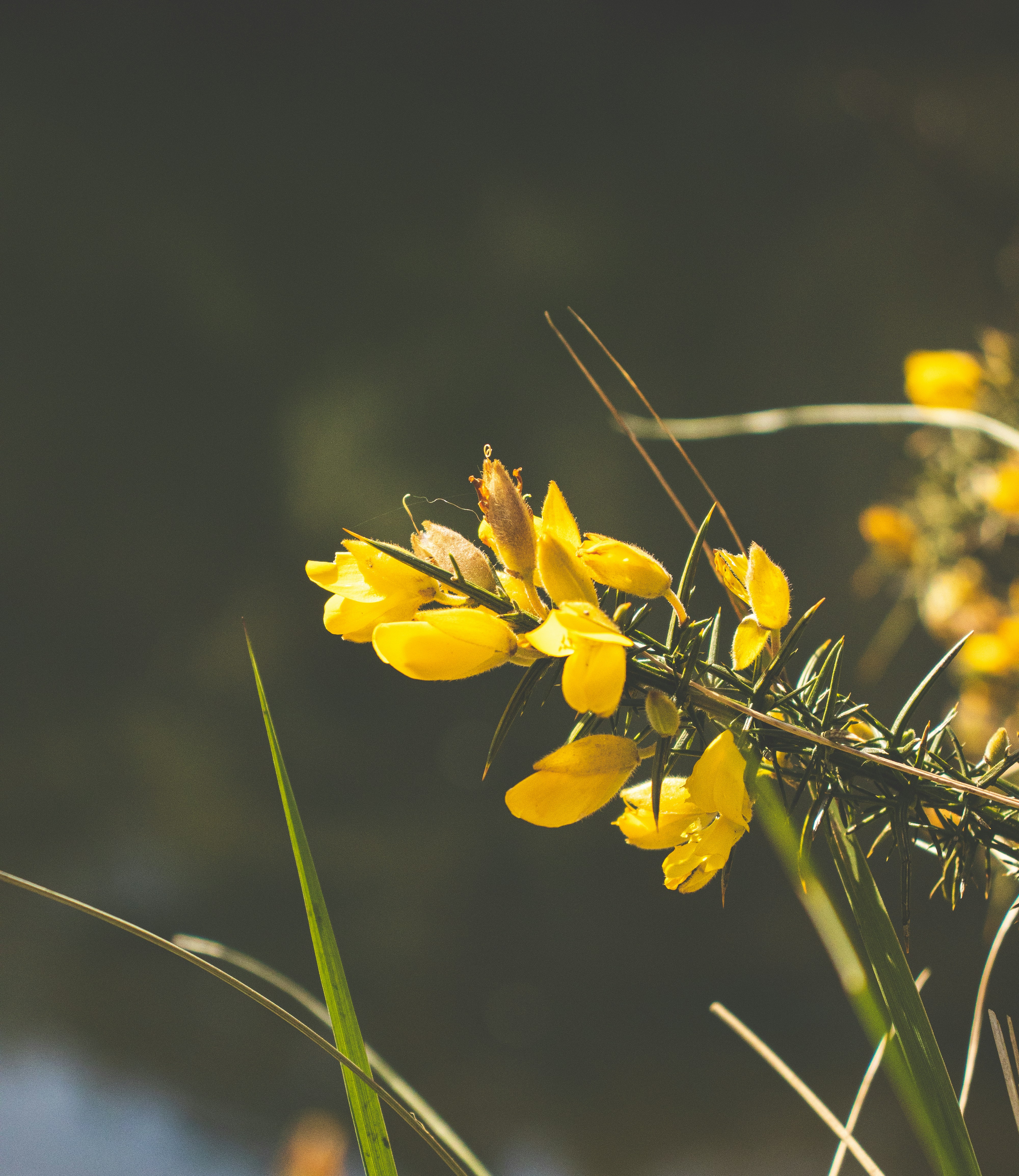 Photo by bcm_photography