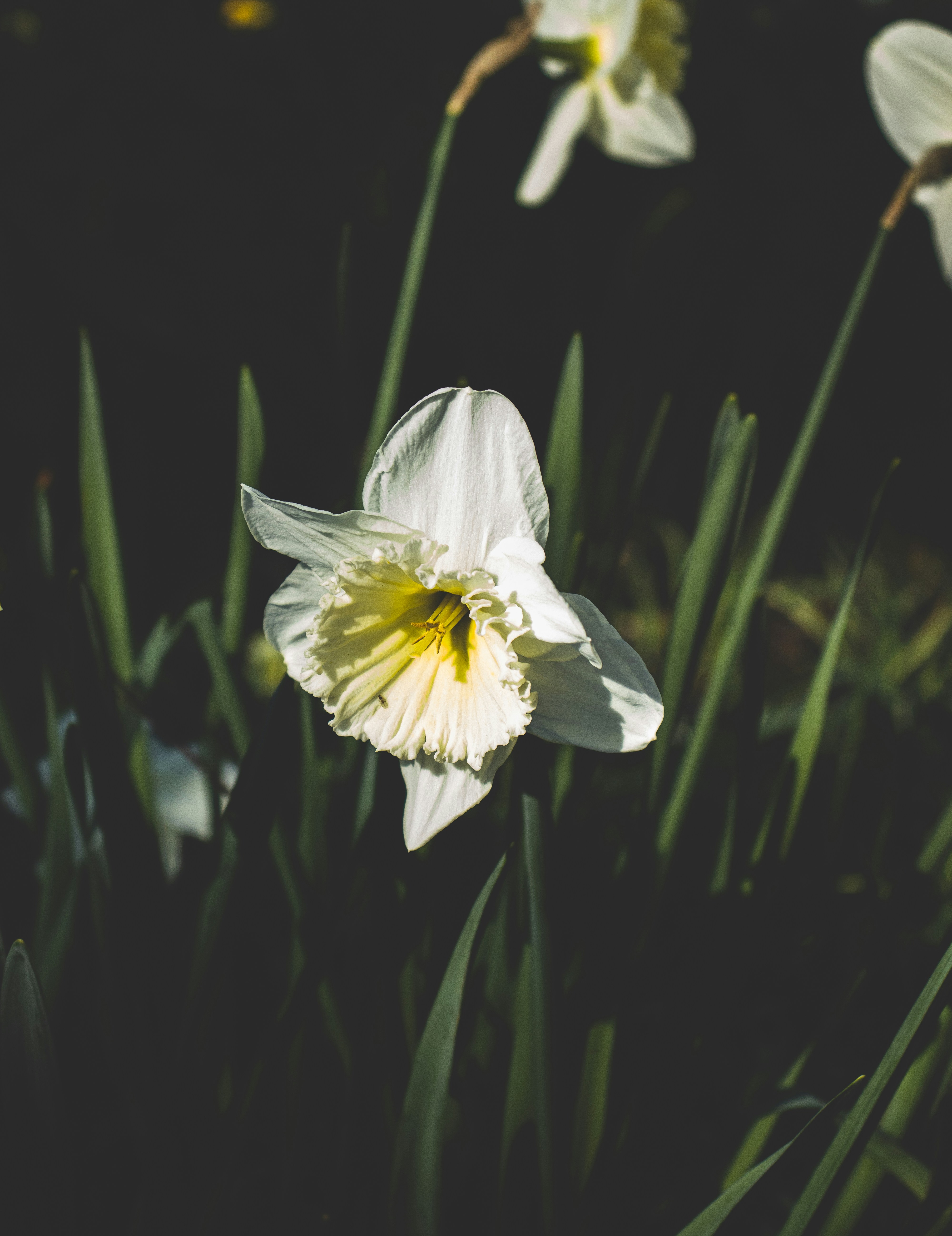 Photo by bcm_photography