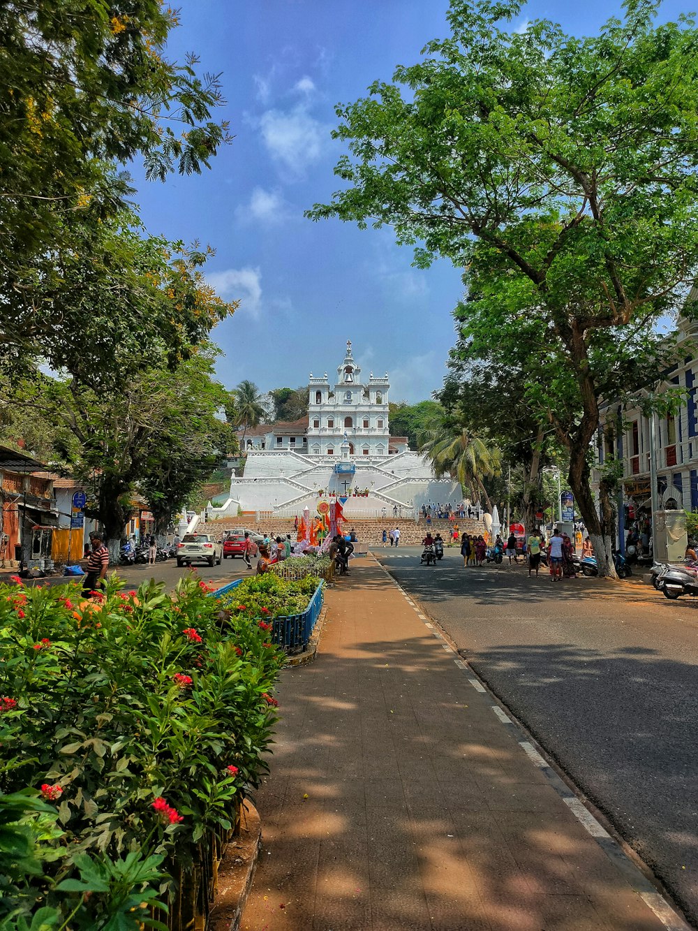 a street lined with lots of trees and flowers