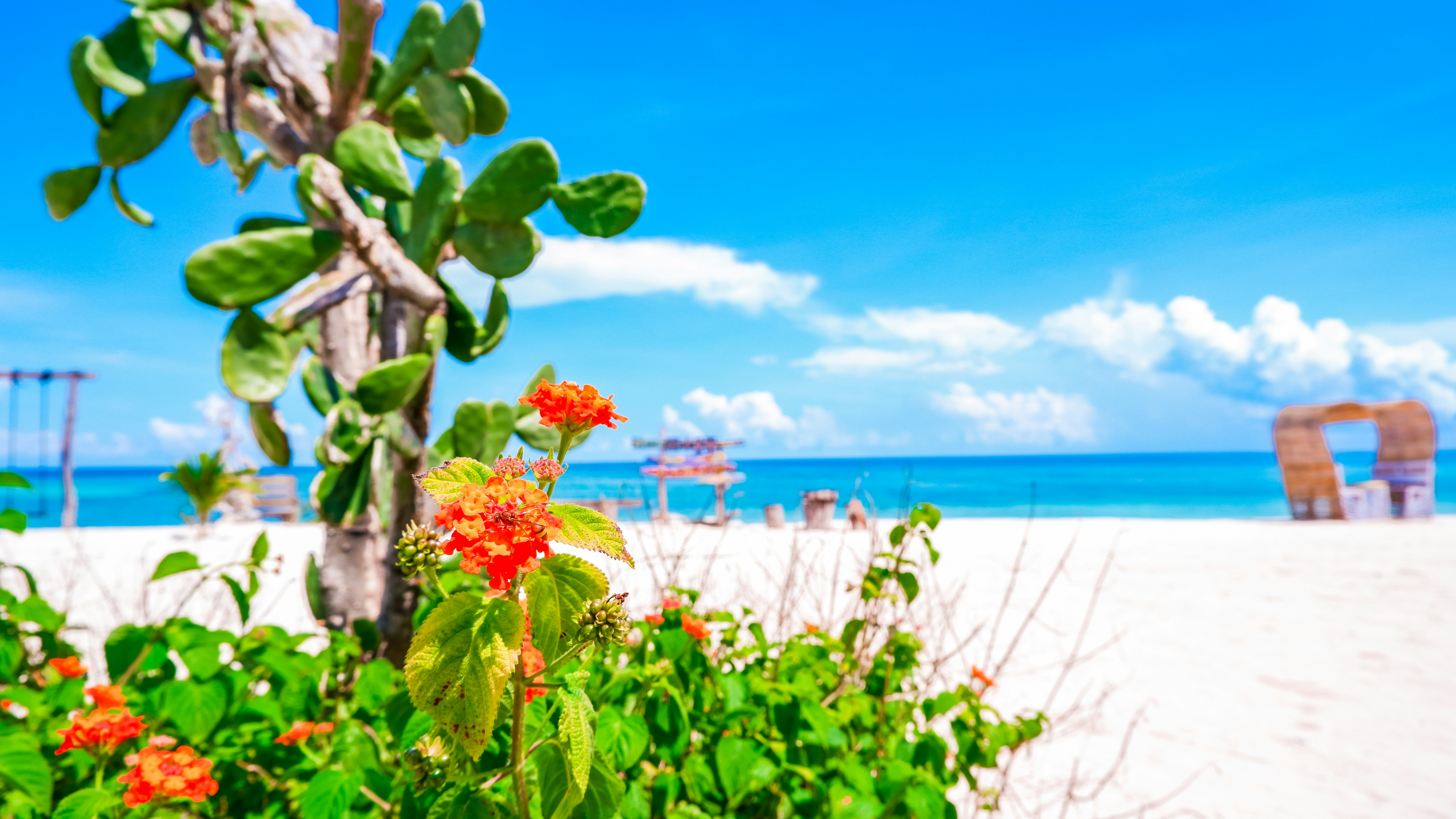 Reserva tu viaje ideal