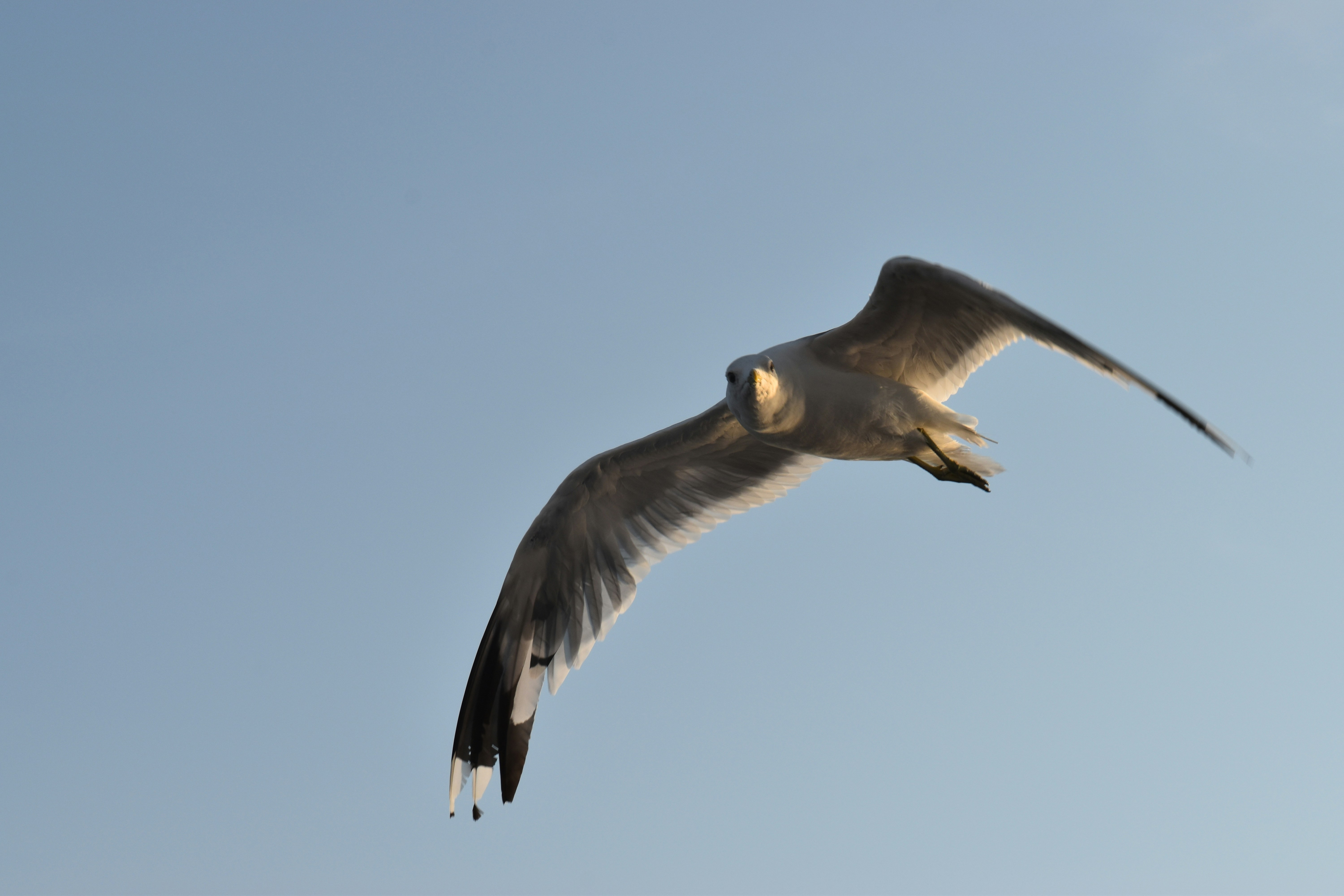 Photo by andras_ratonyi