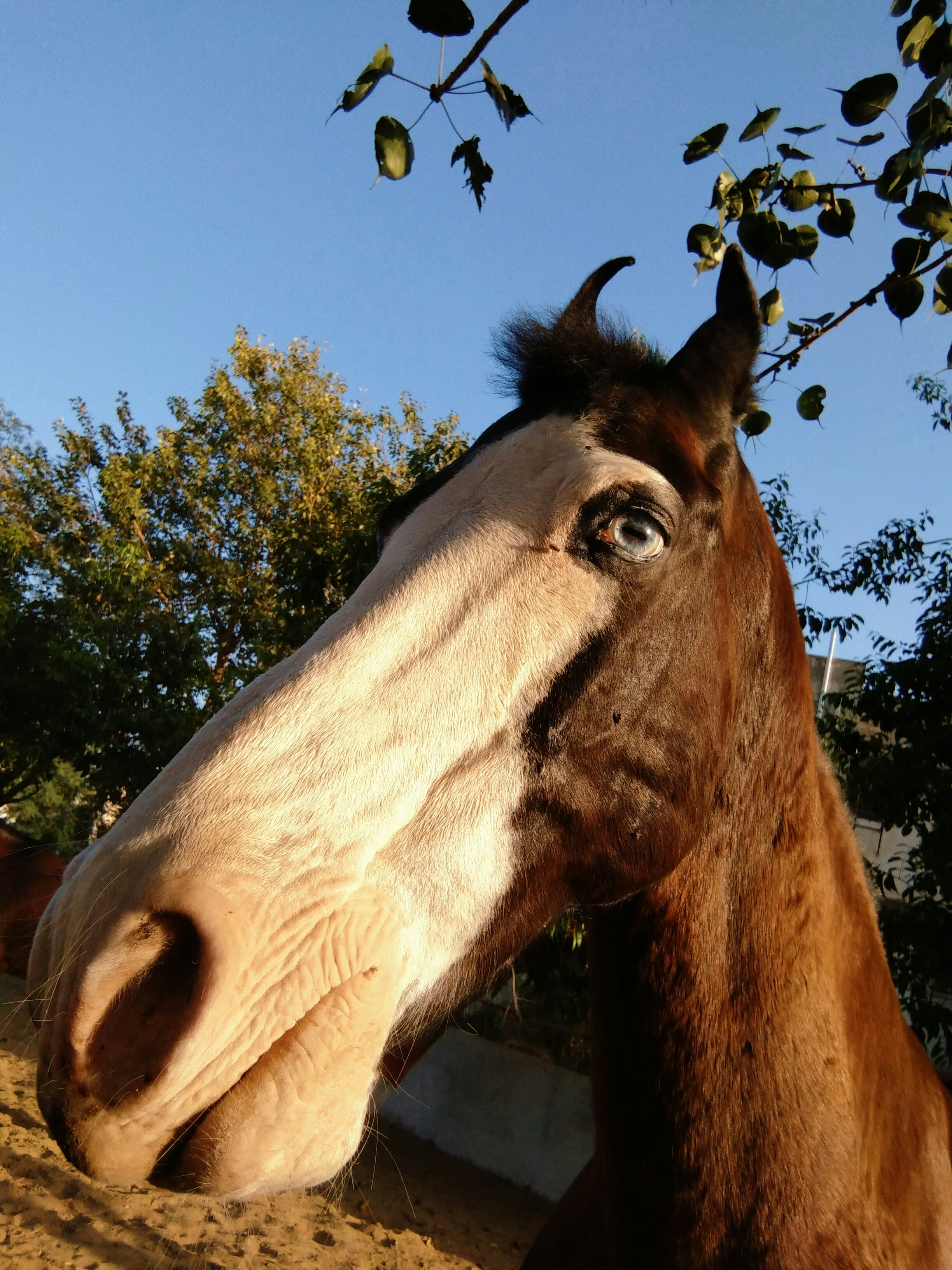 Photo by anjali_rai6